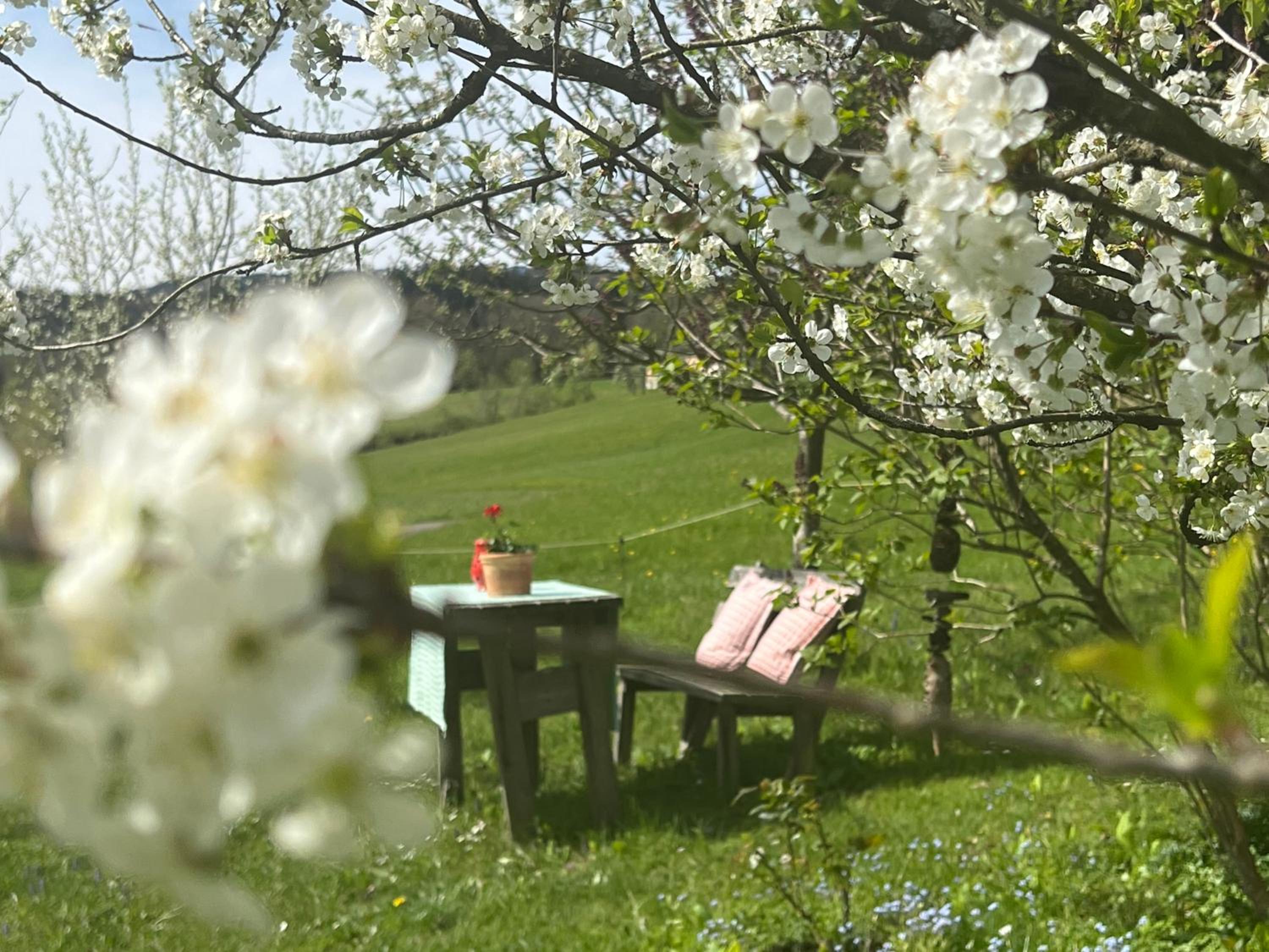 Familie Falkensteiner - eine friedvolle Oase