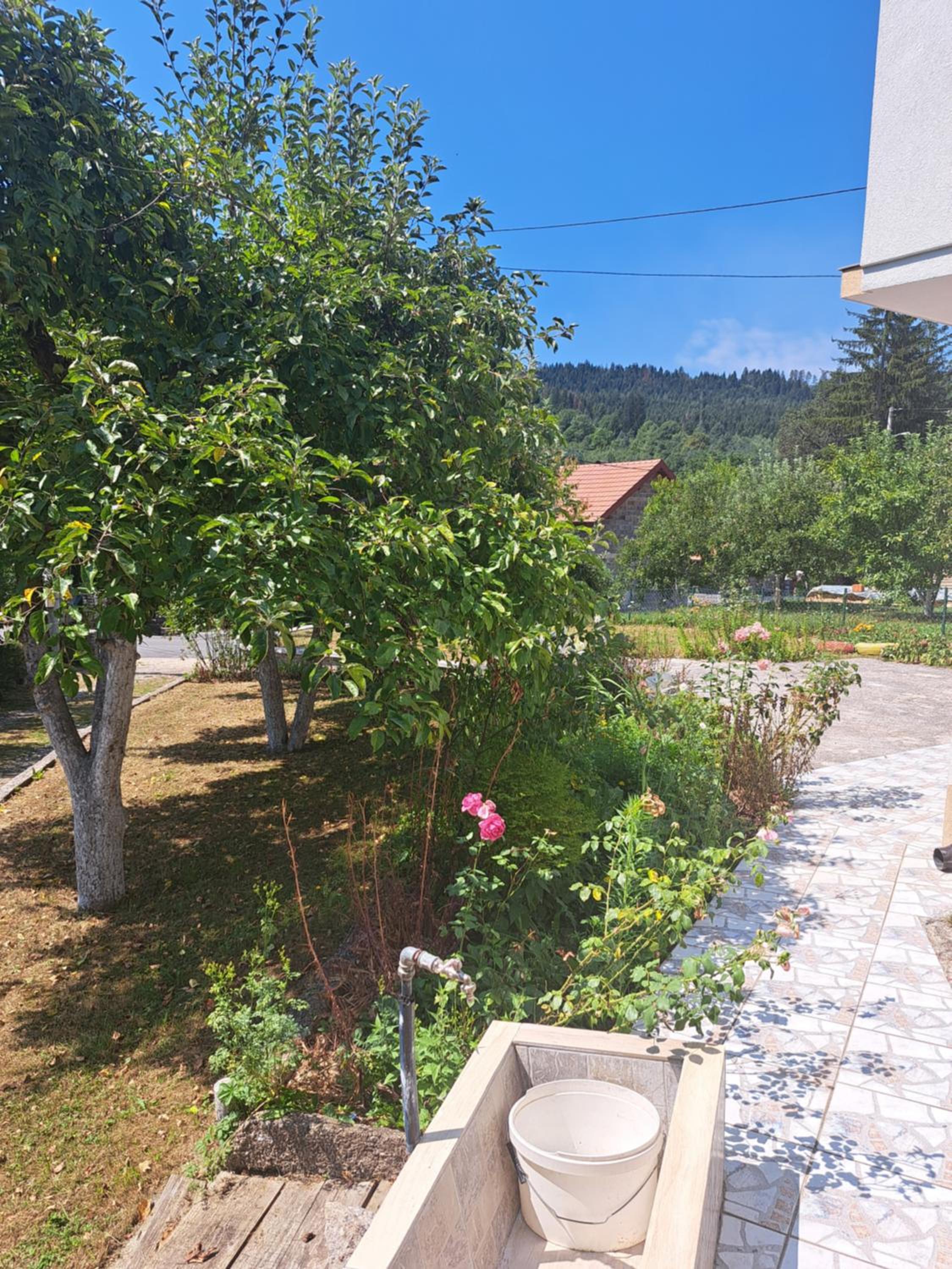 Villa River Olovo