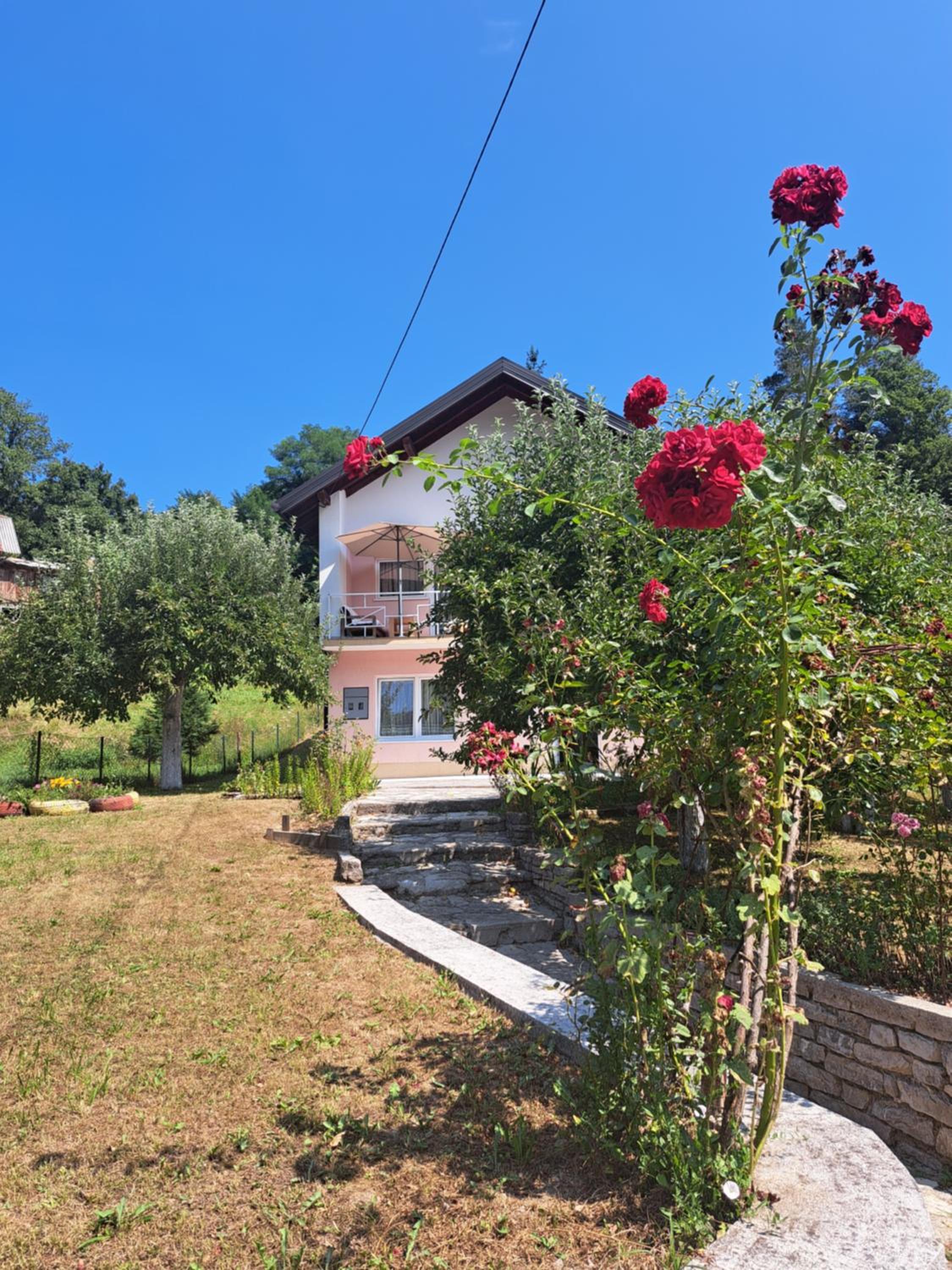 Villa River Olovo