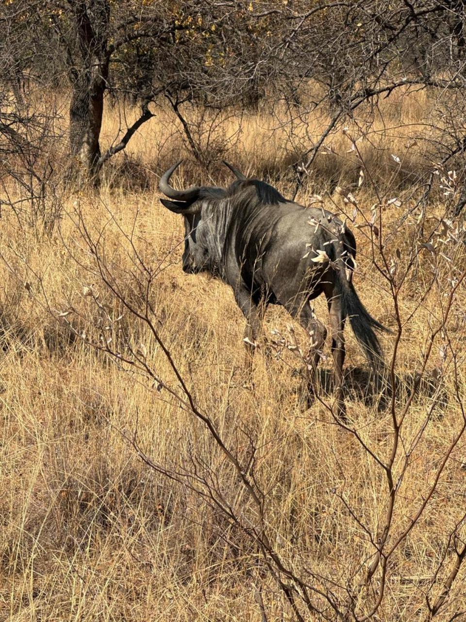 Klipdrift Sands Game Lodge