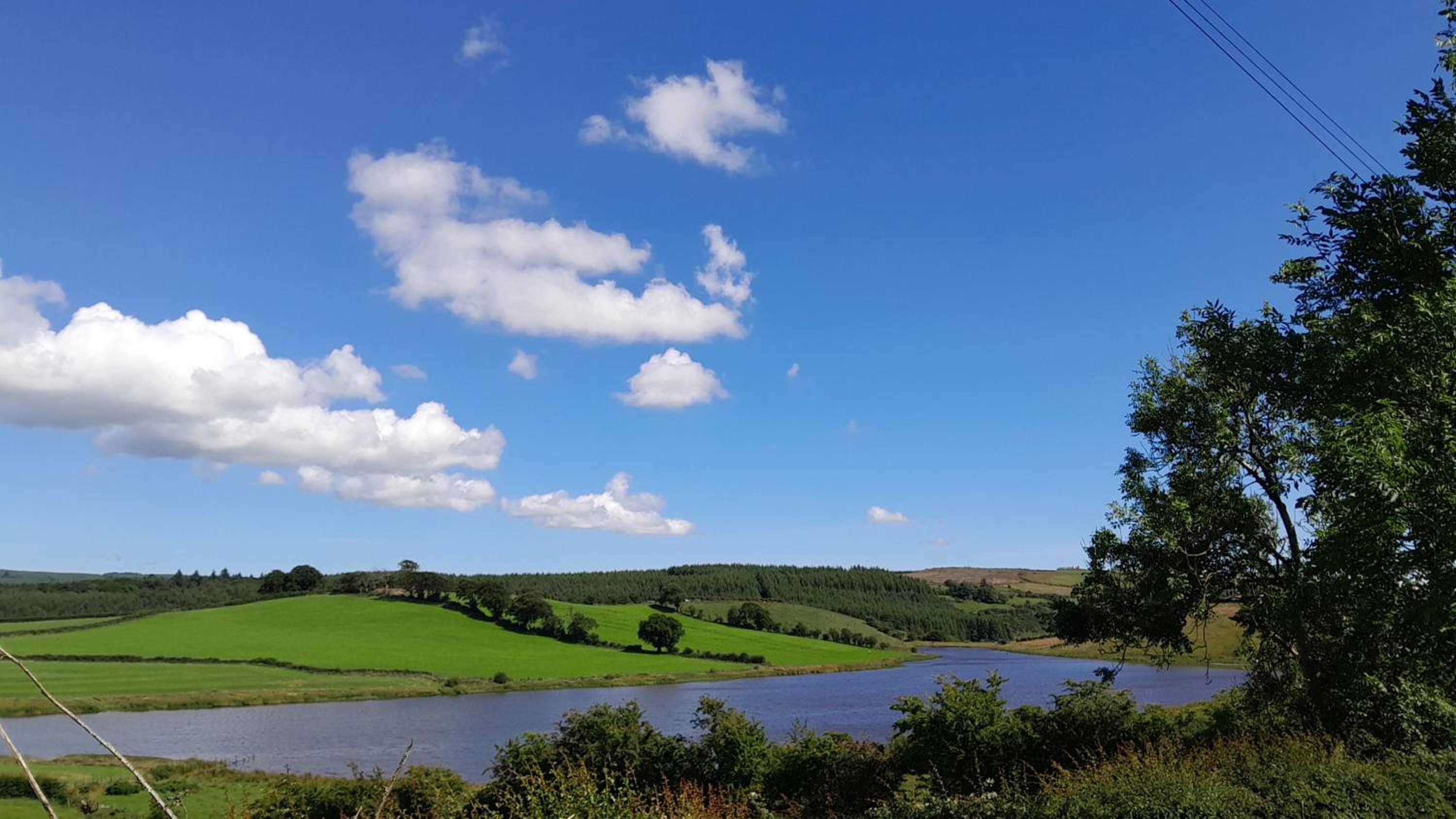 Tullynawood Glamping and Farm