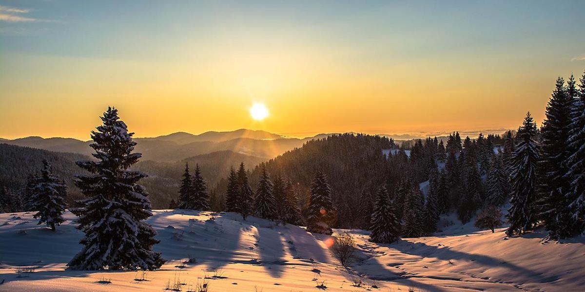 Hotel Amampuri Village - Image 1