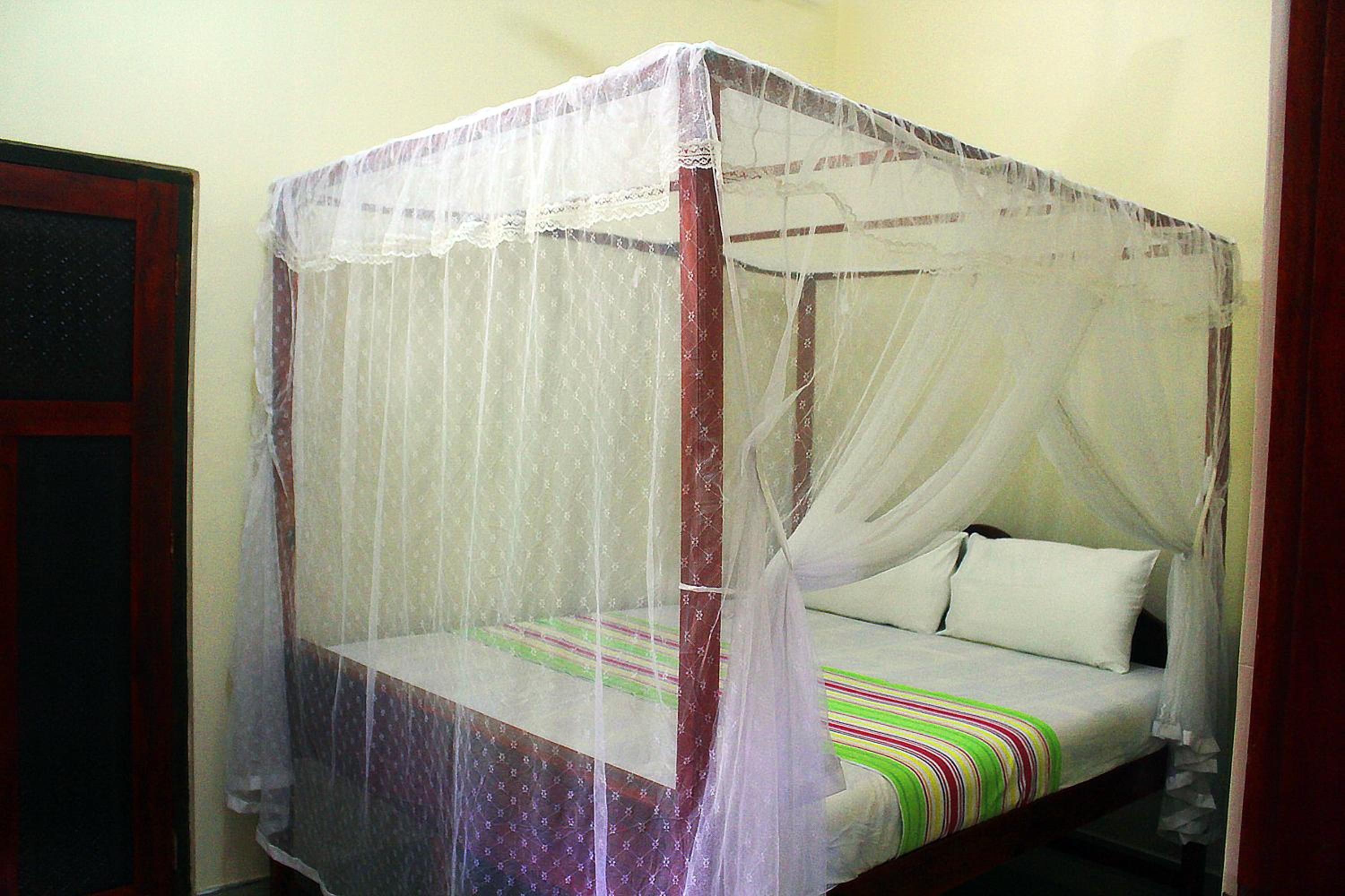 Tiny Royal Palace