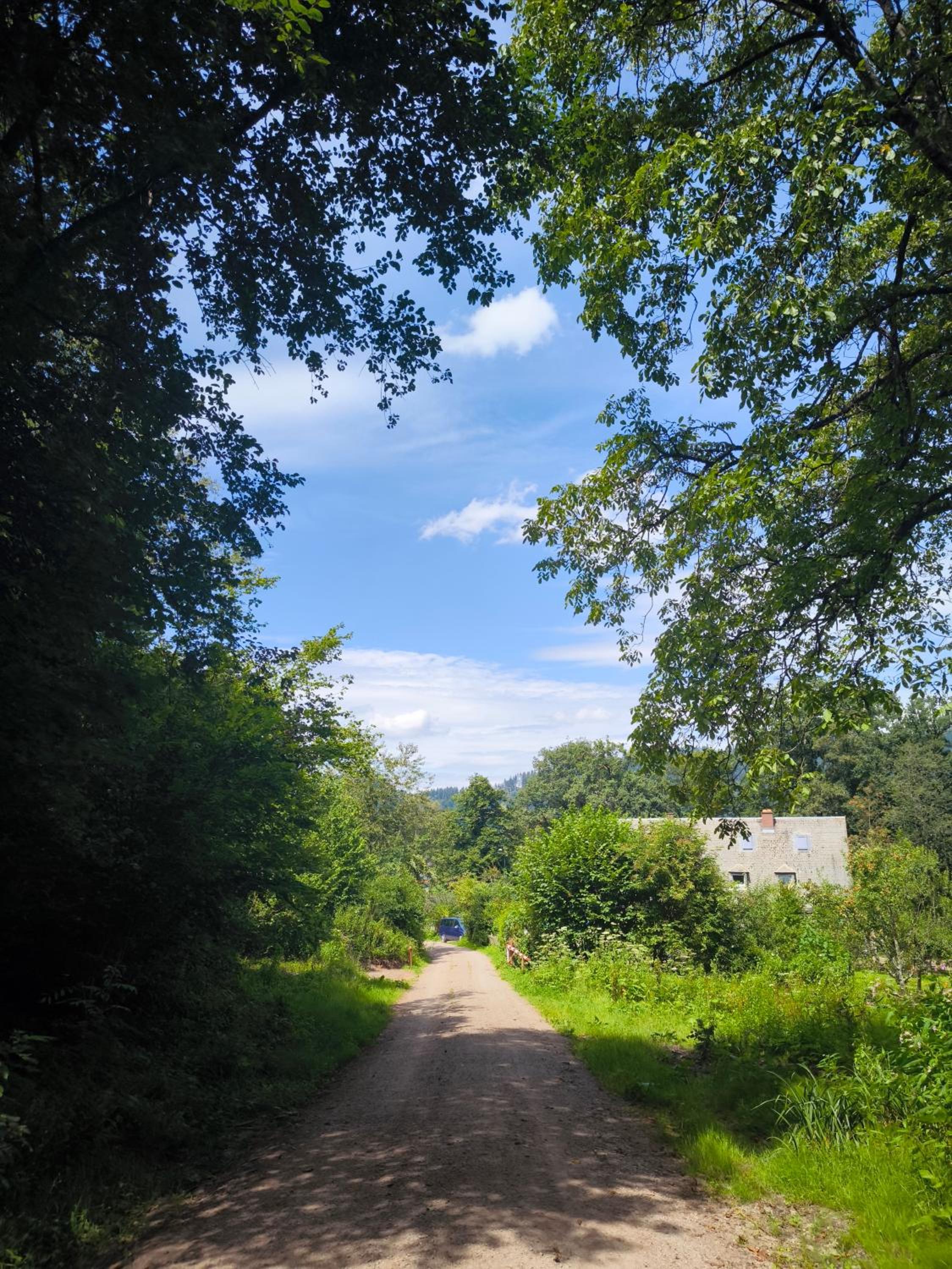 Hostel Waldblick