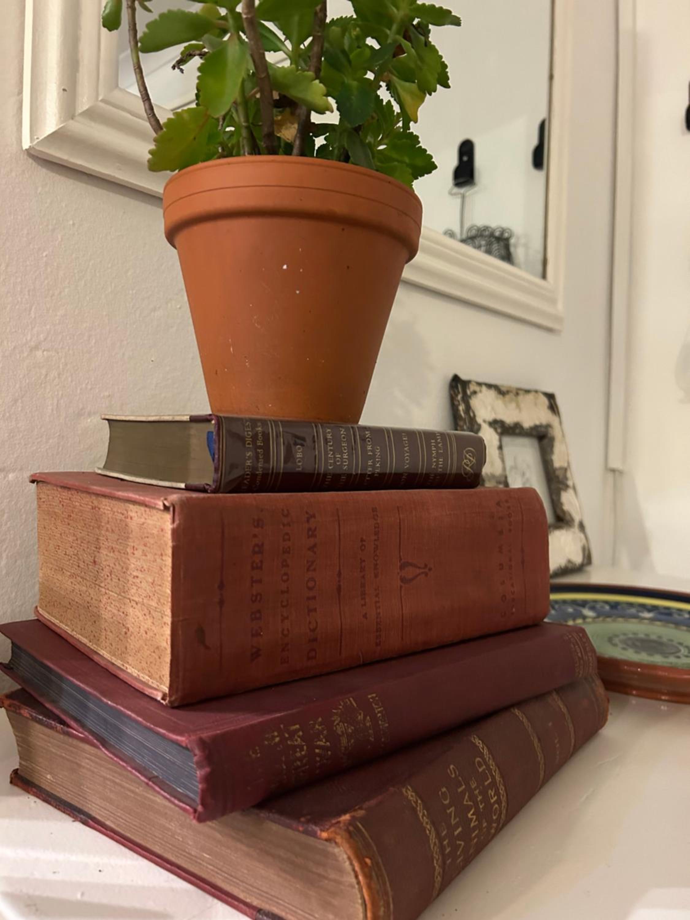 Book Cottage