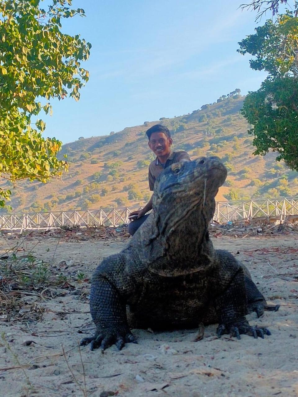Bajo Komodo Homestay