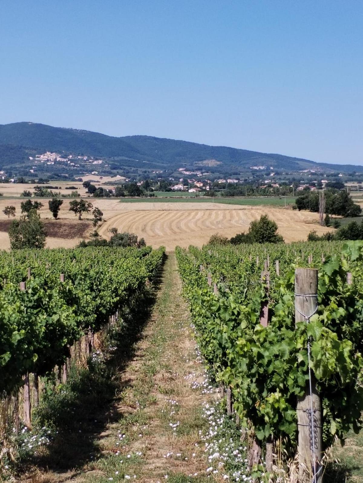 Agriturismo Il Mulino del Vescovo