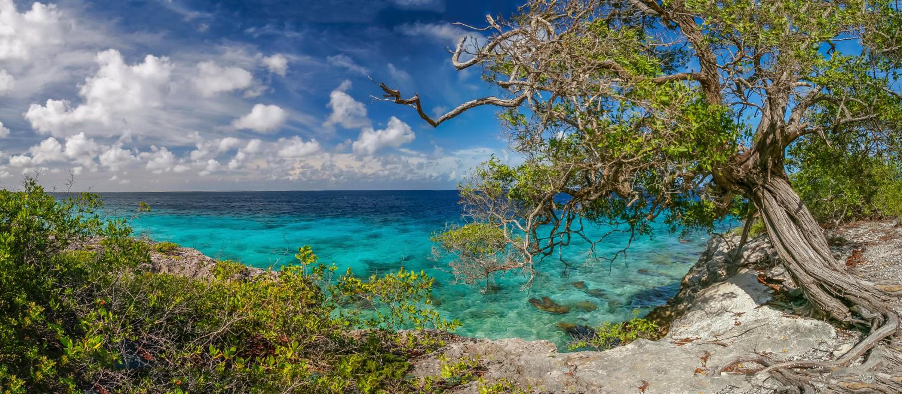 Bonaire 2 Stay Eco, Eco Resort Bonaire