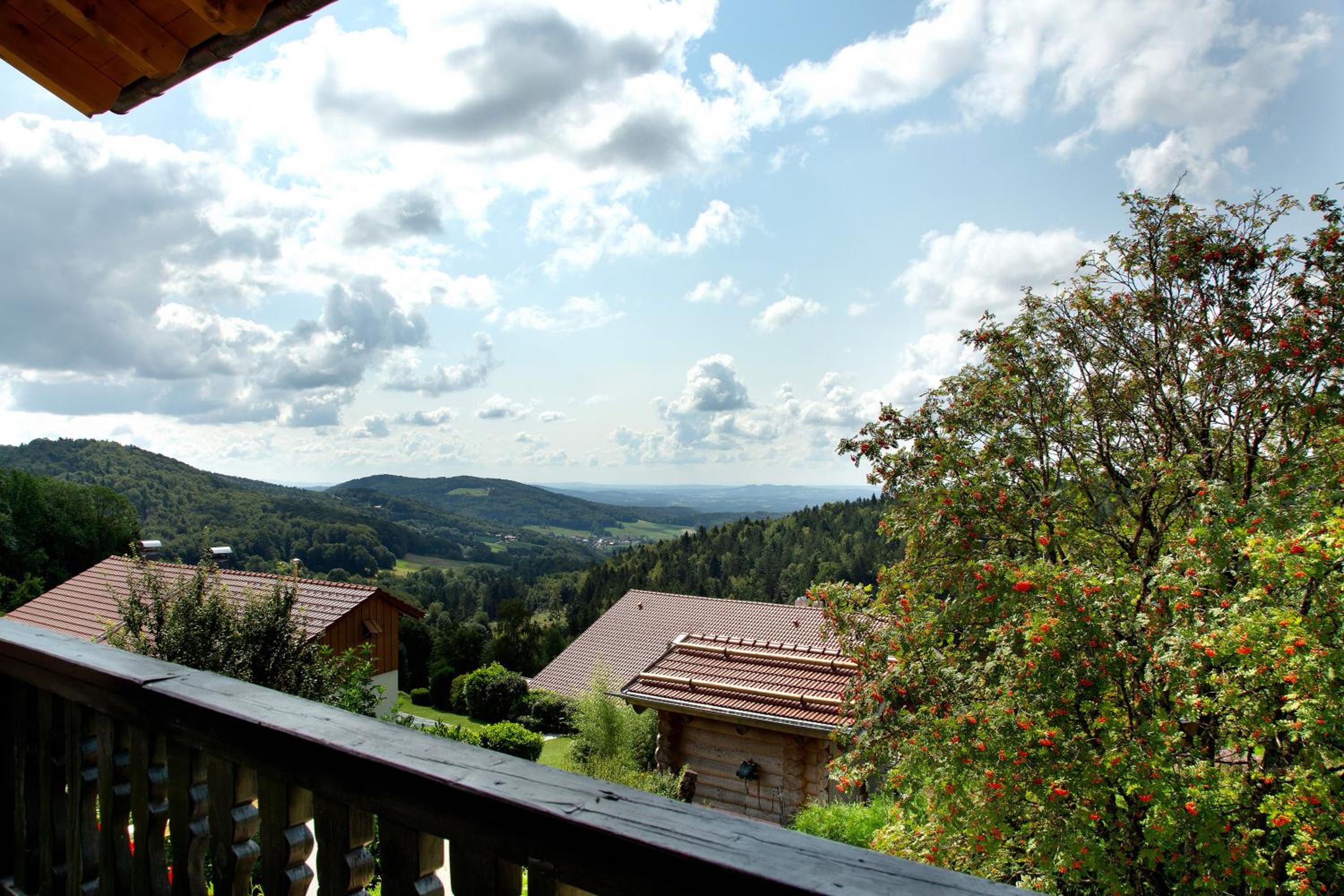 Chalet Sonnenwald