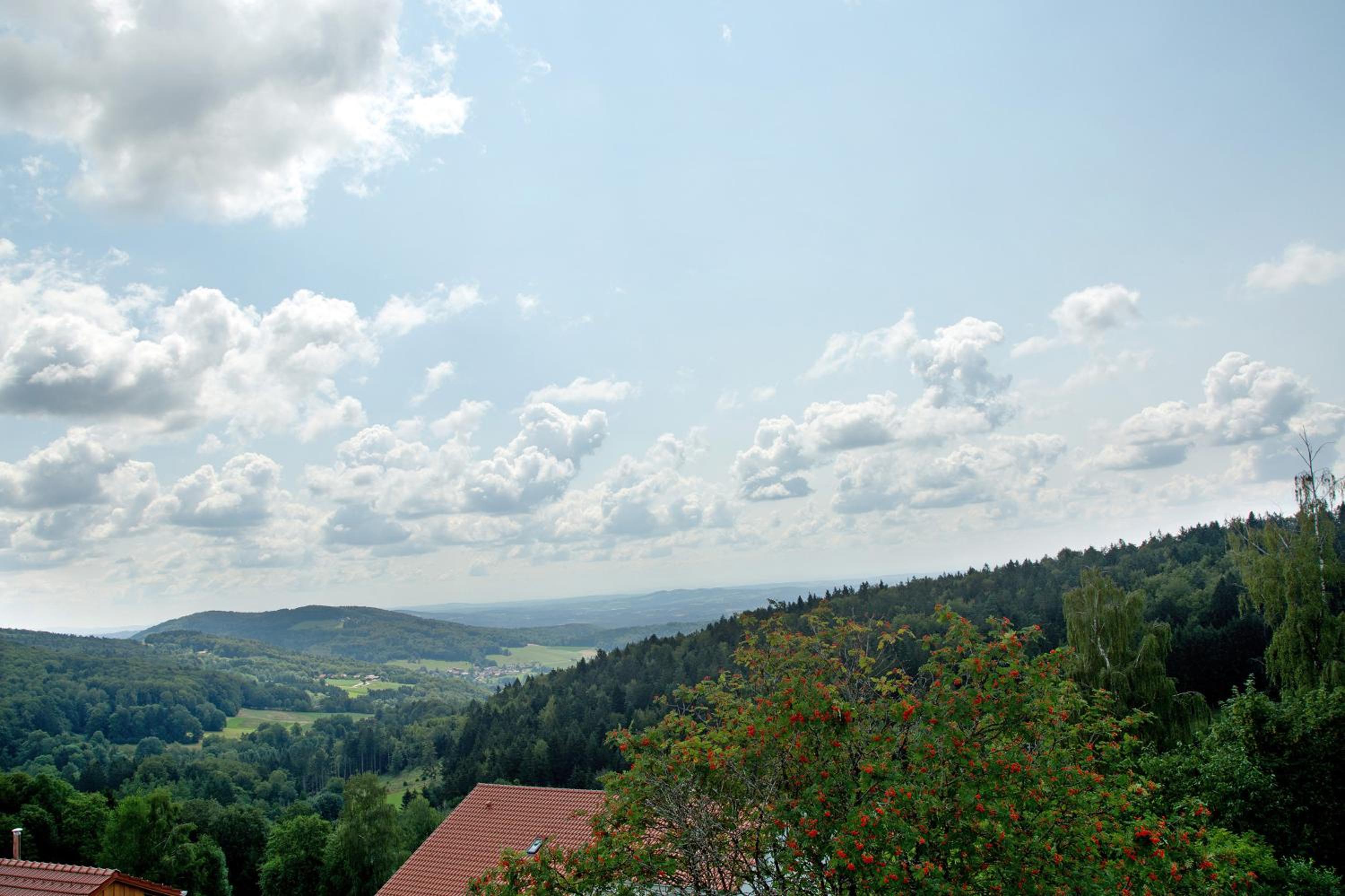 Chalet Sonnenwald