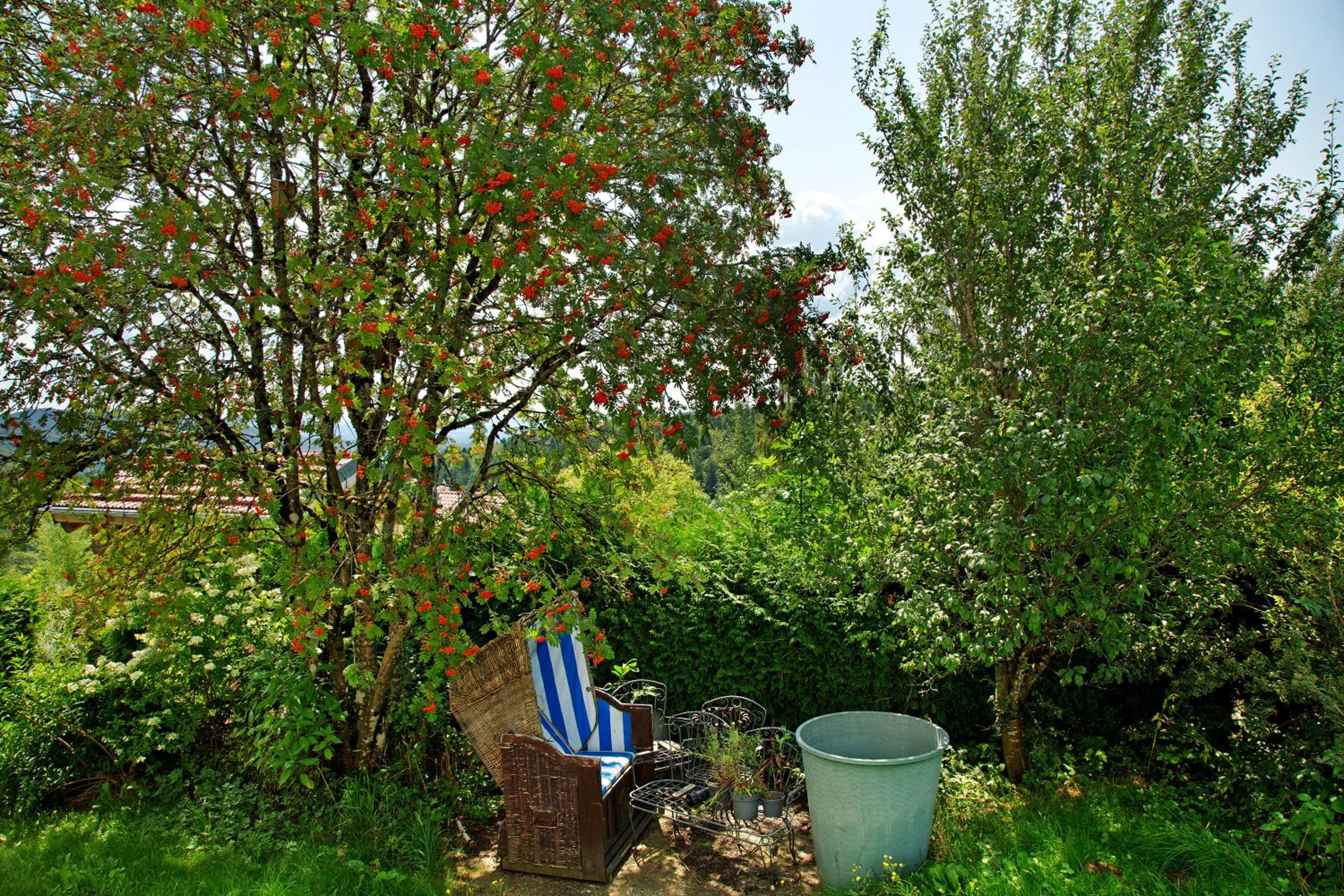 Chalet Sonnenwald