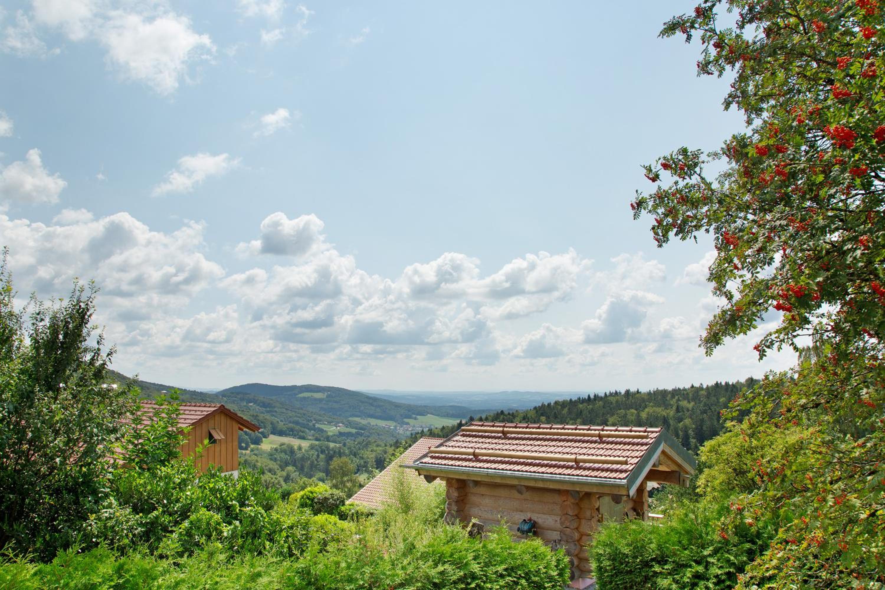 Chalet Sonnenwald