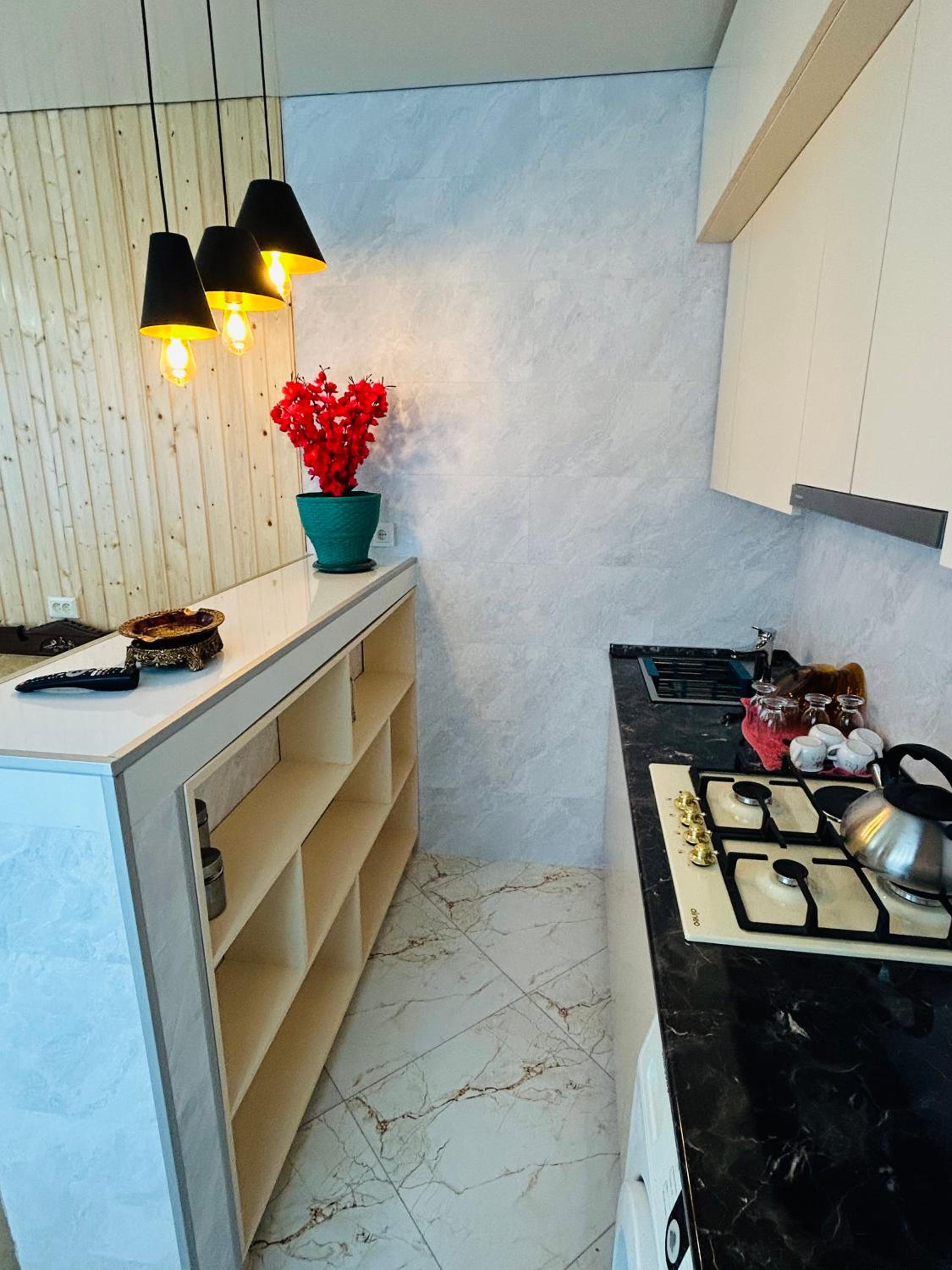 Lasha's villa