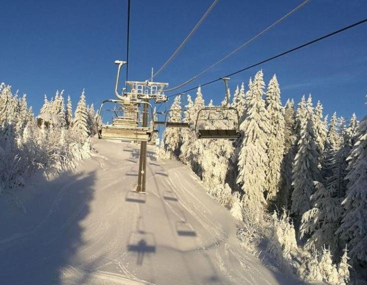 Apartmán REZE Šumava