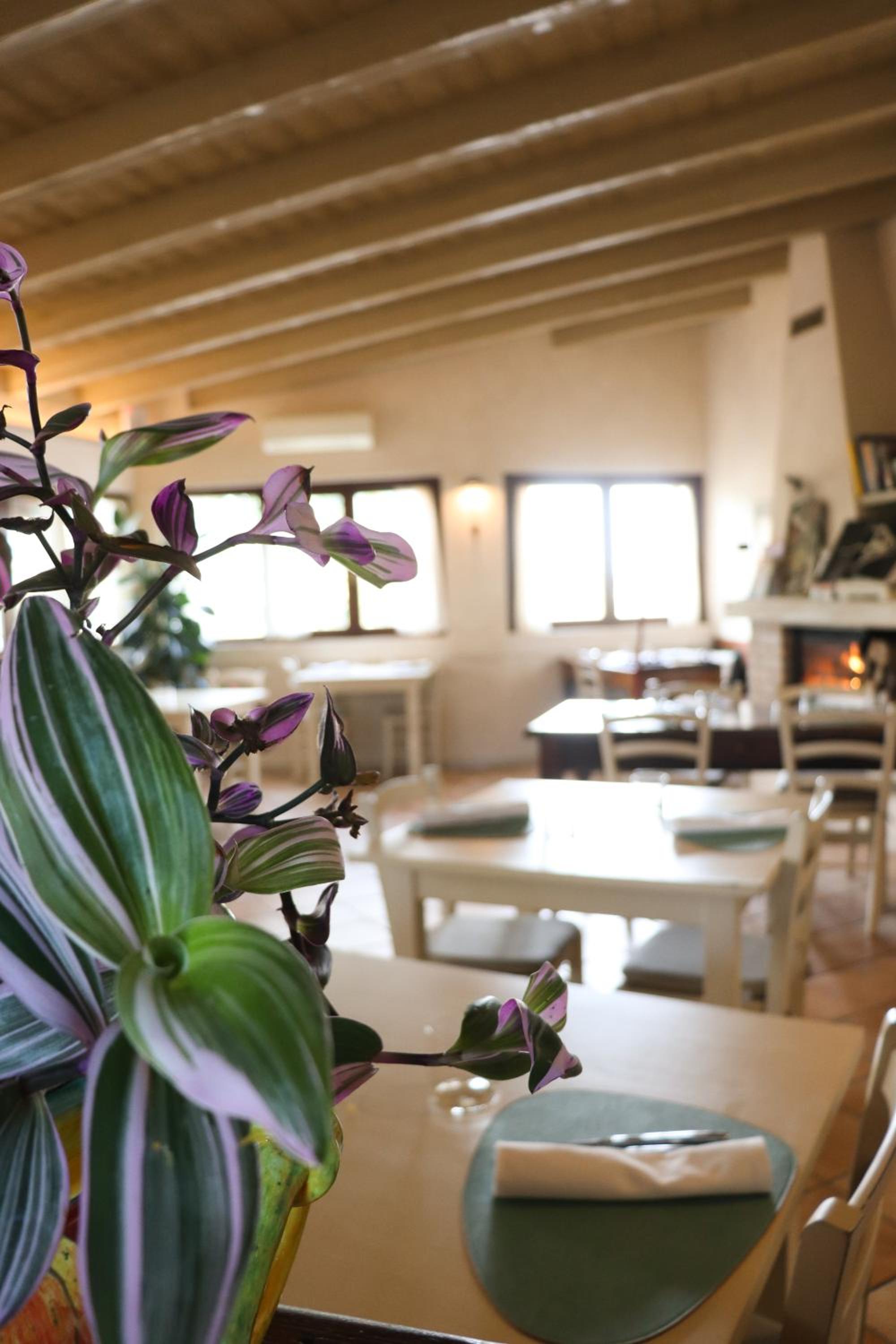 Locanda sul fiume view 5