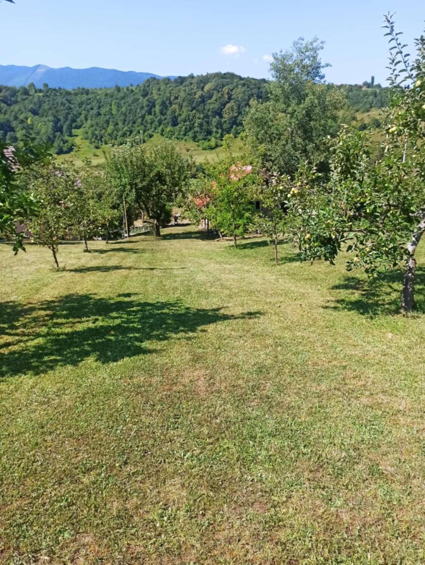 Retro Retreat Izačić