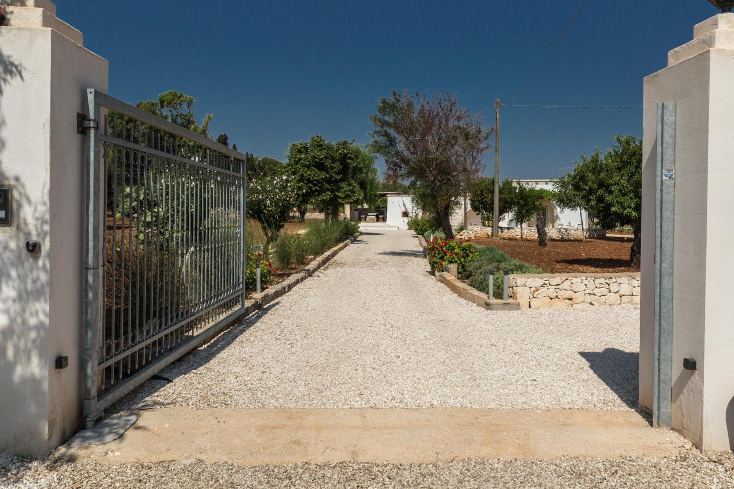 Photo 41