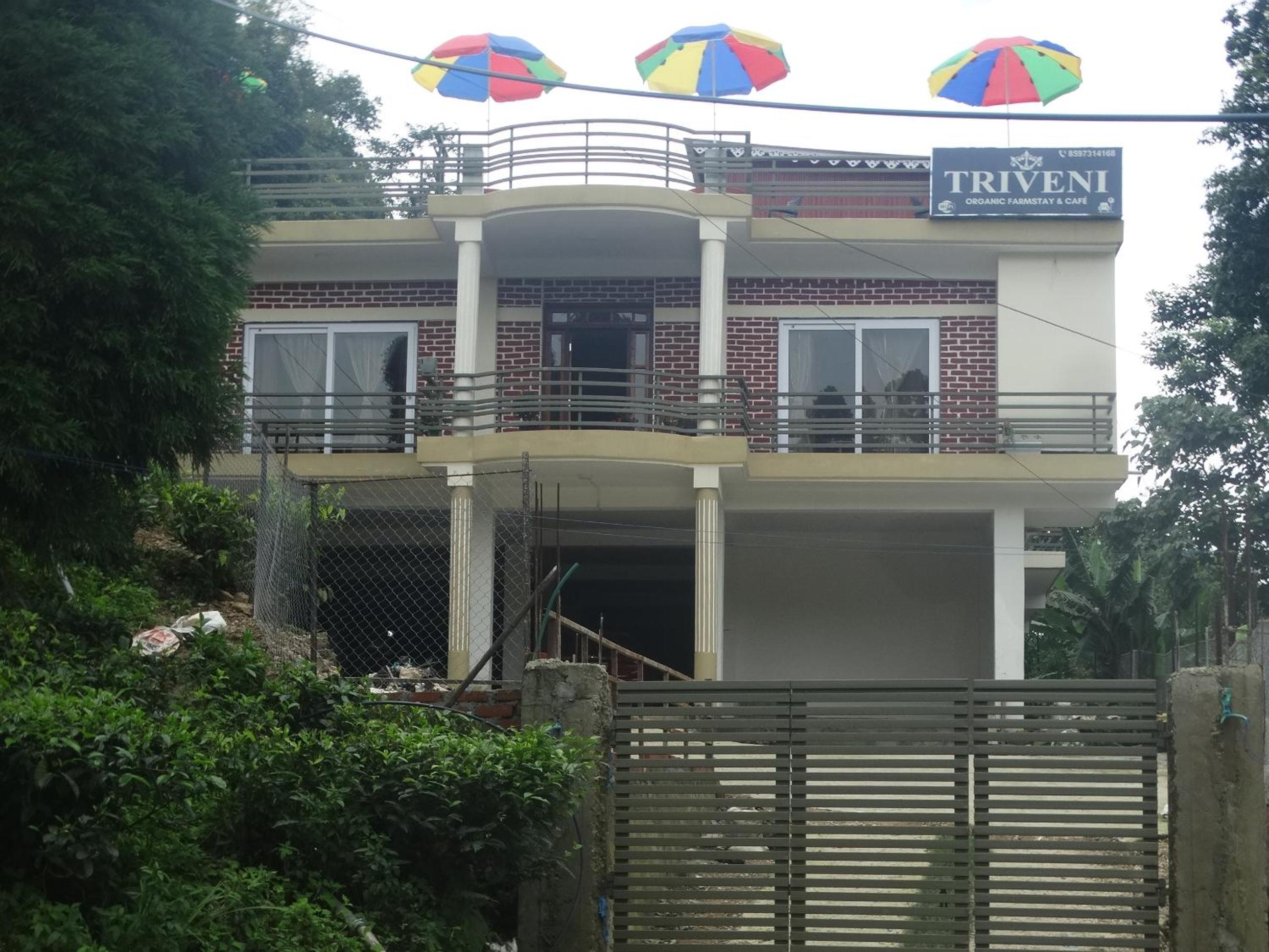 Triveni Organic Farmstay & Cafe view 2