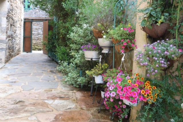 O Forno de Catuxa Cottage & Roman Wall view 5
