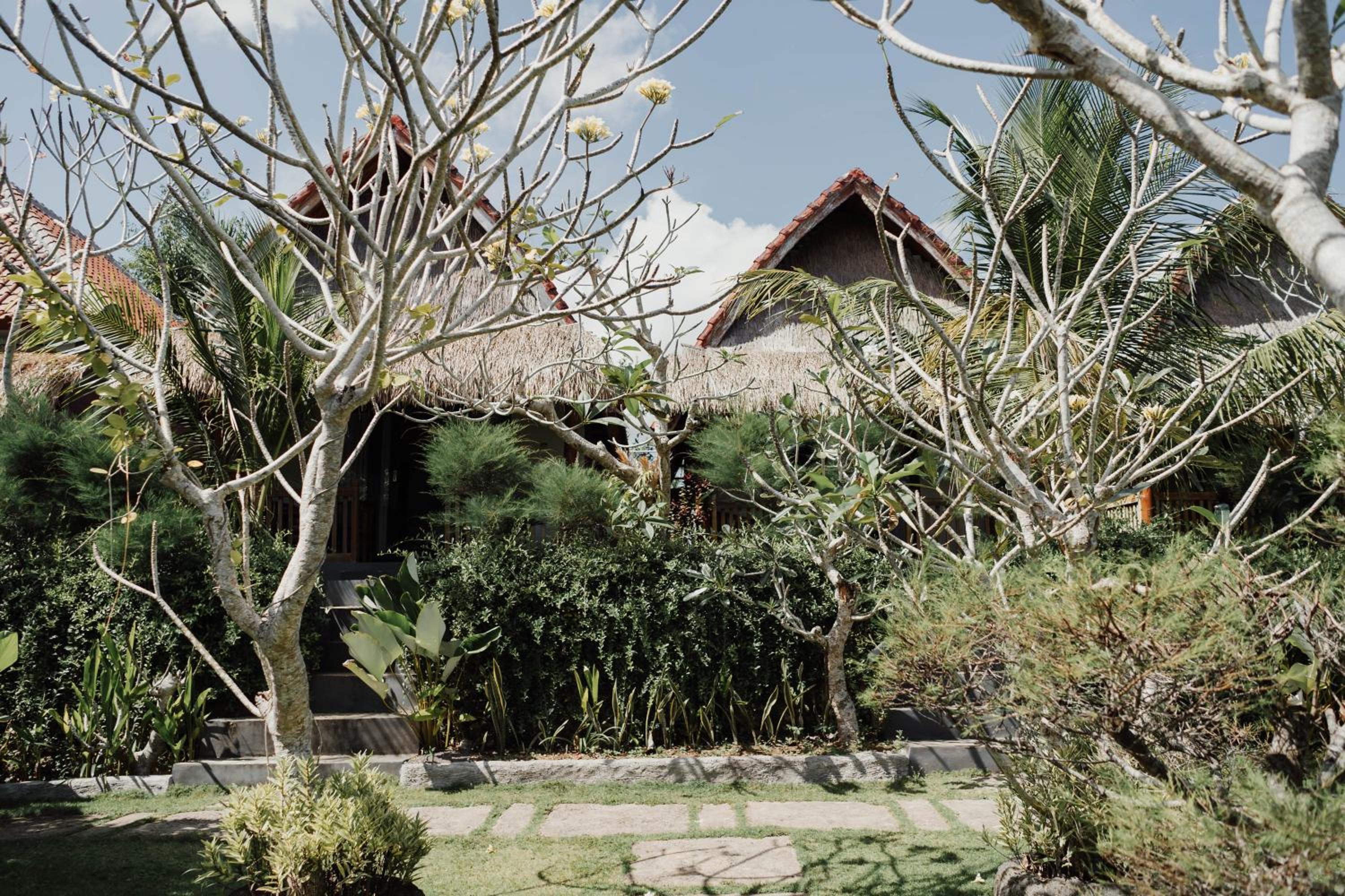 Temeling Jungle Inn view 4