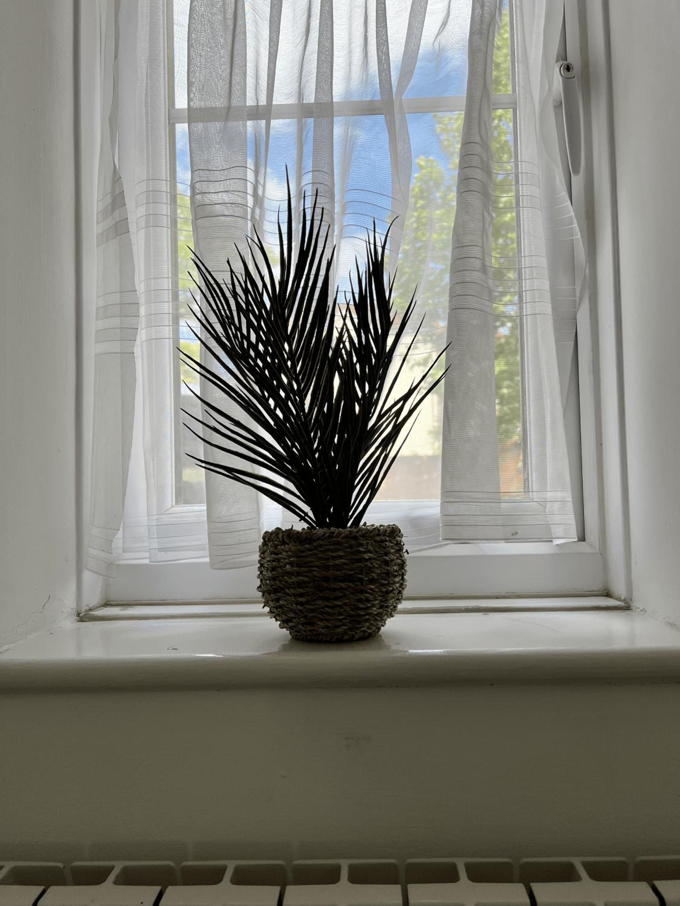 Photo 29
