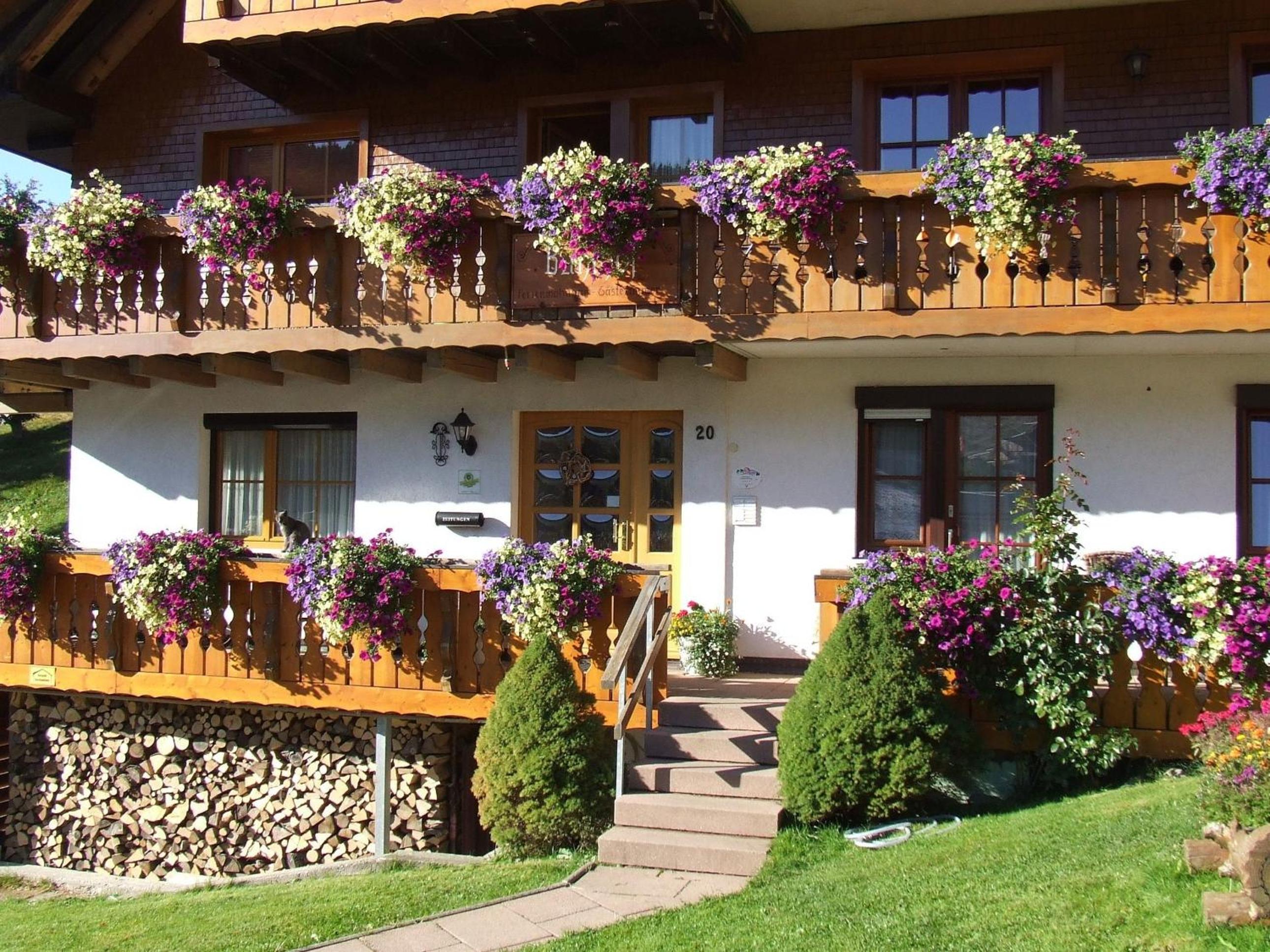Bühlhof Todtnauberg Wohnung 1