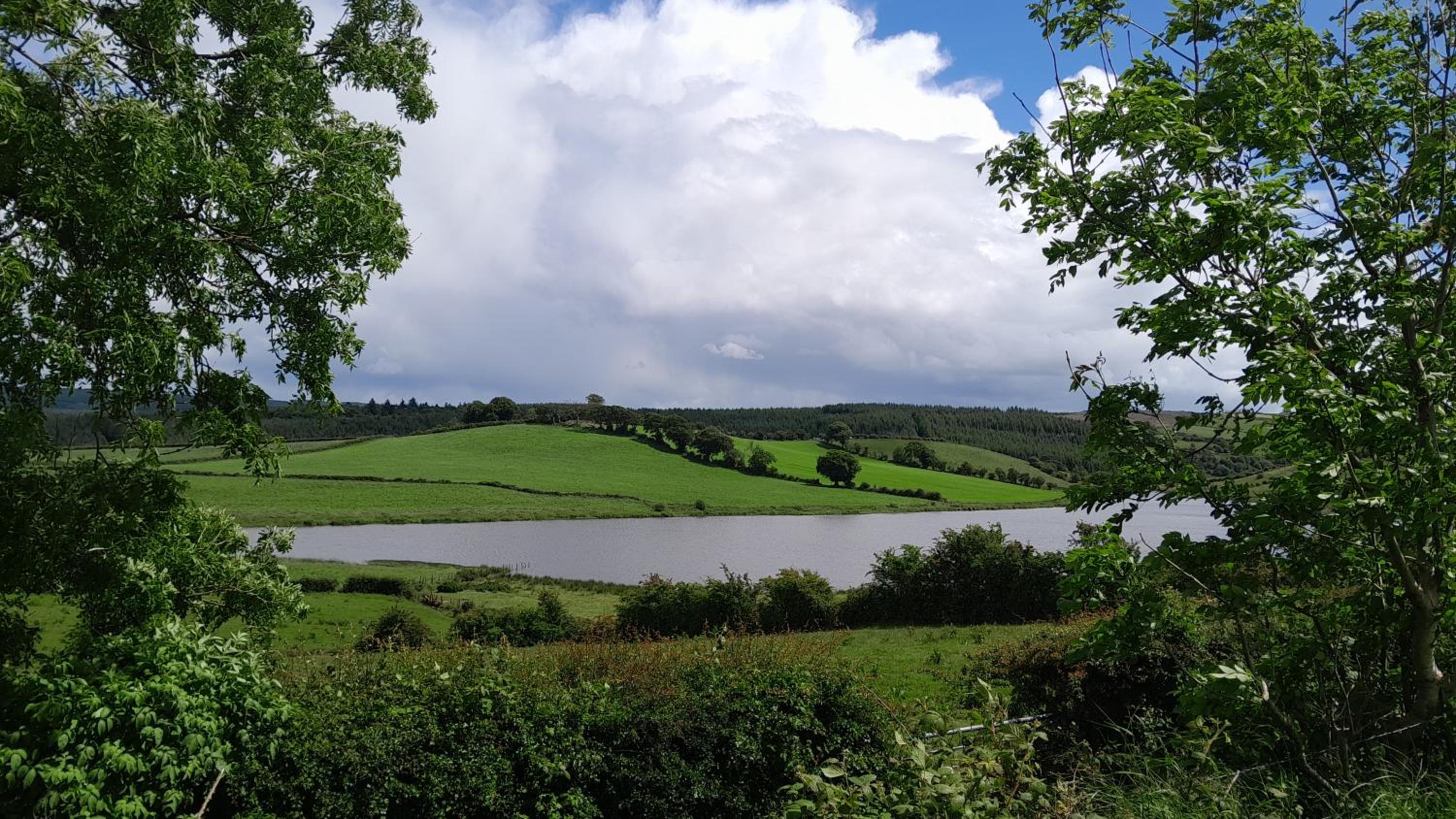 Tullynawood Glamping and Farm