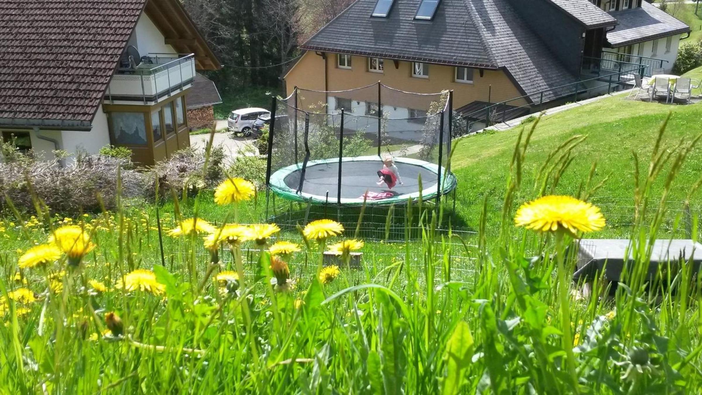 Bühlhof Todtnauberg Wohnung 3 view 3