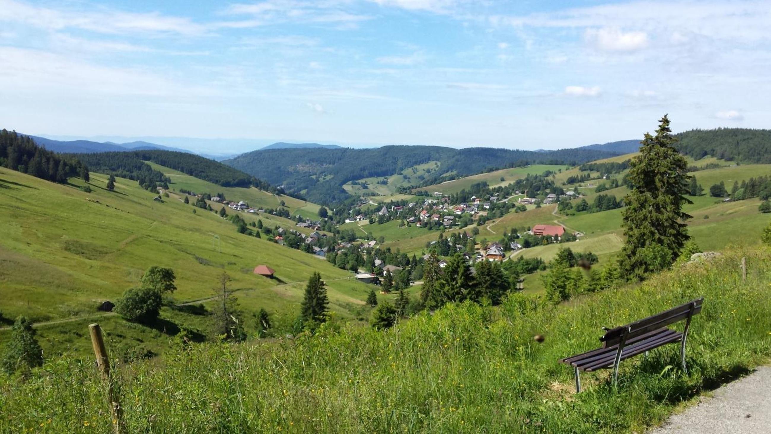 Bühlhof Todtnauberg Gästehaus Wohnung Nr5