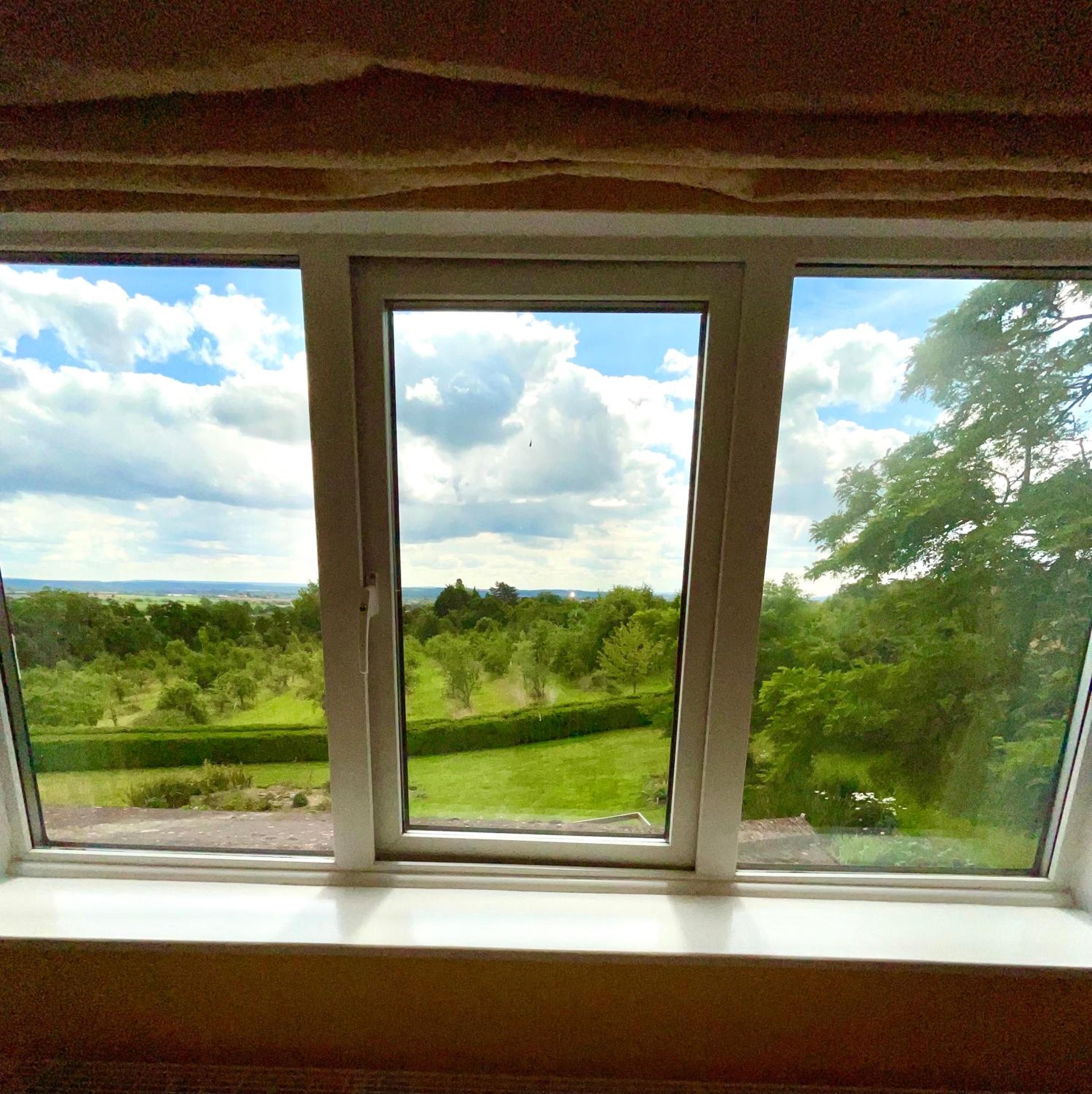 Shakespeare's View