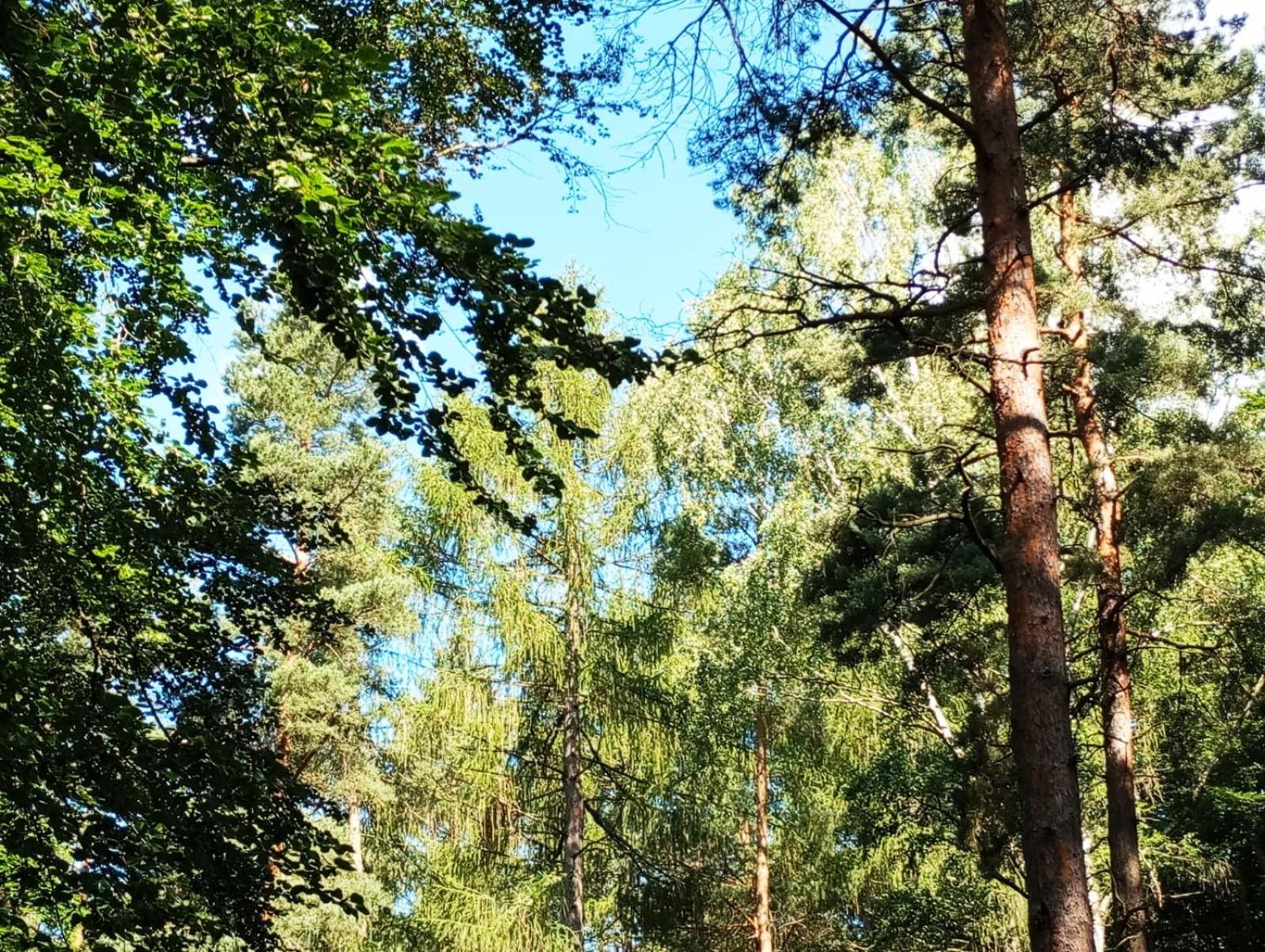 Ferienhaus Schwarzenberg Erzgebirge