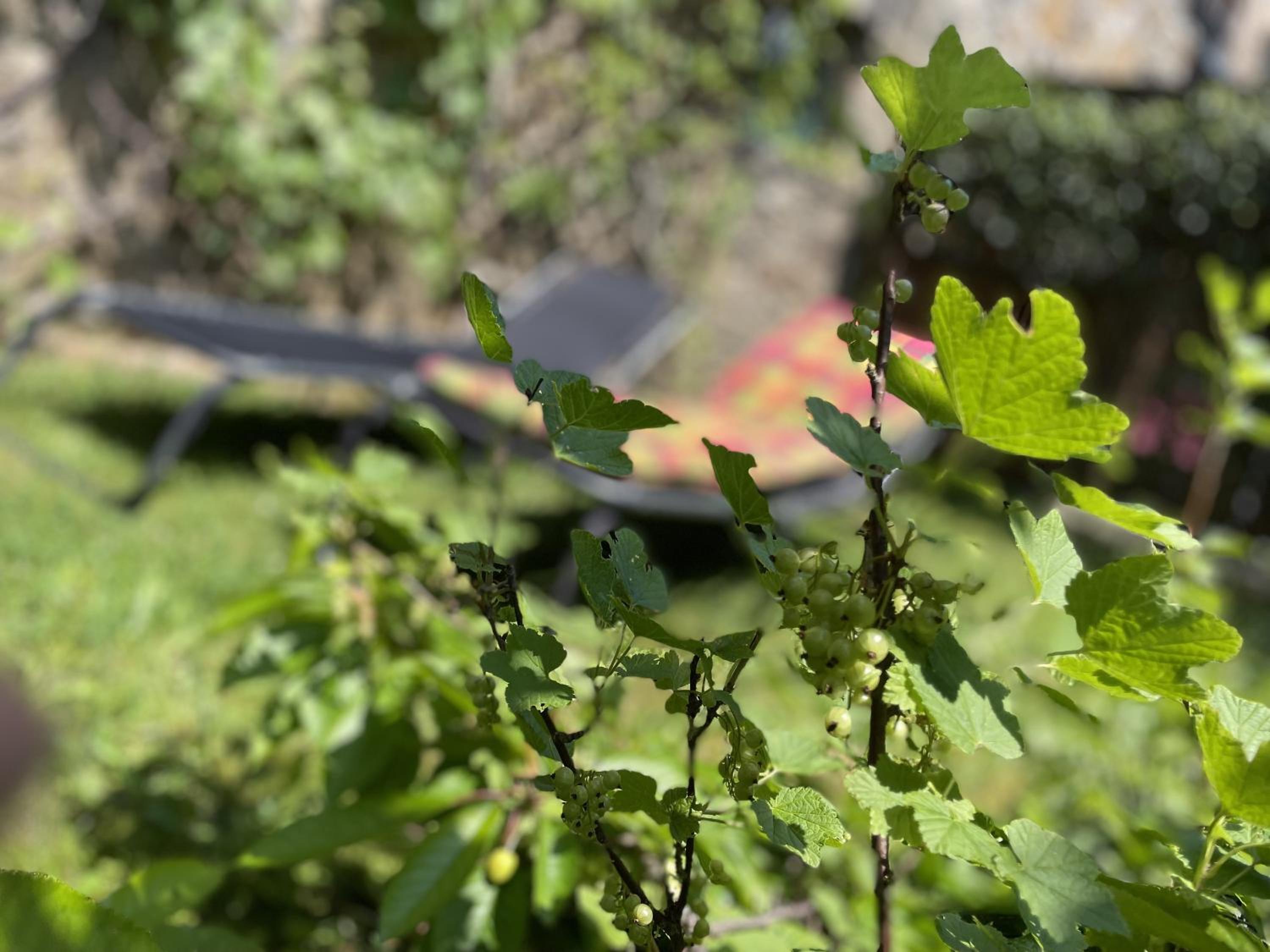 Ferienhaus Schwarzenberg Erzgebirge