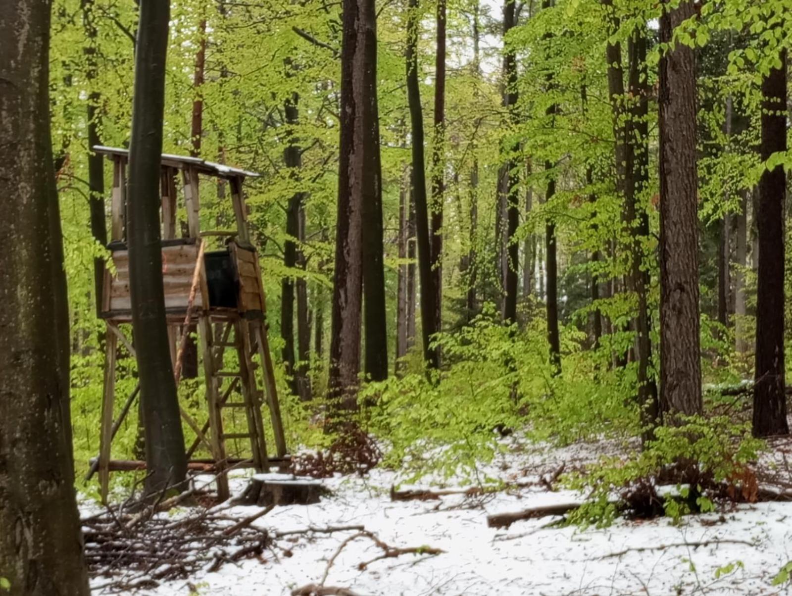 Ferienhaus Schwarzenberg Erzgebirge