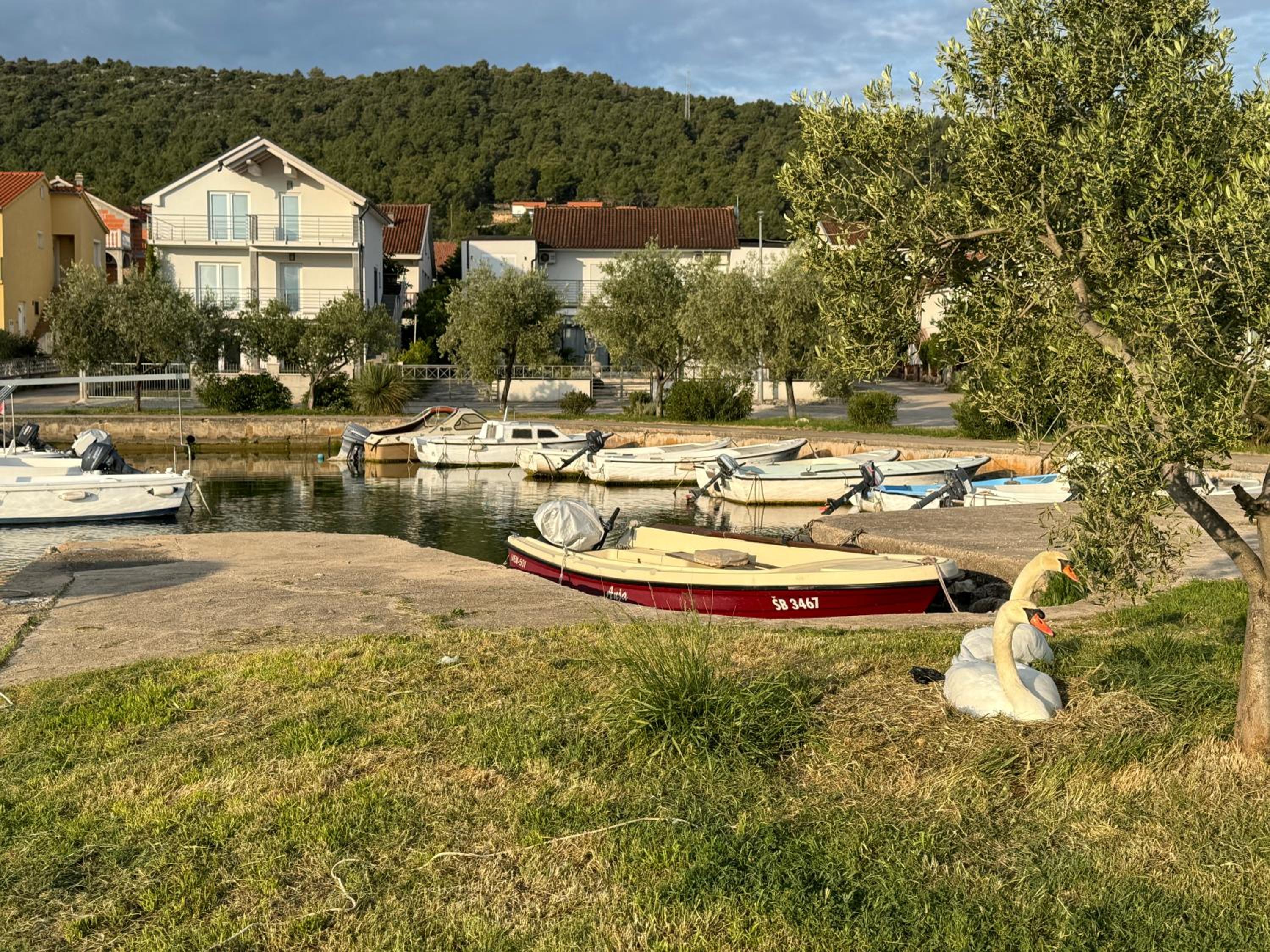 Photo 23