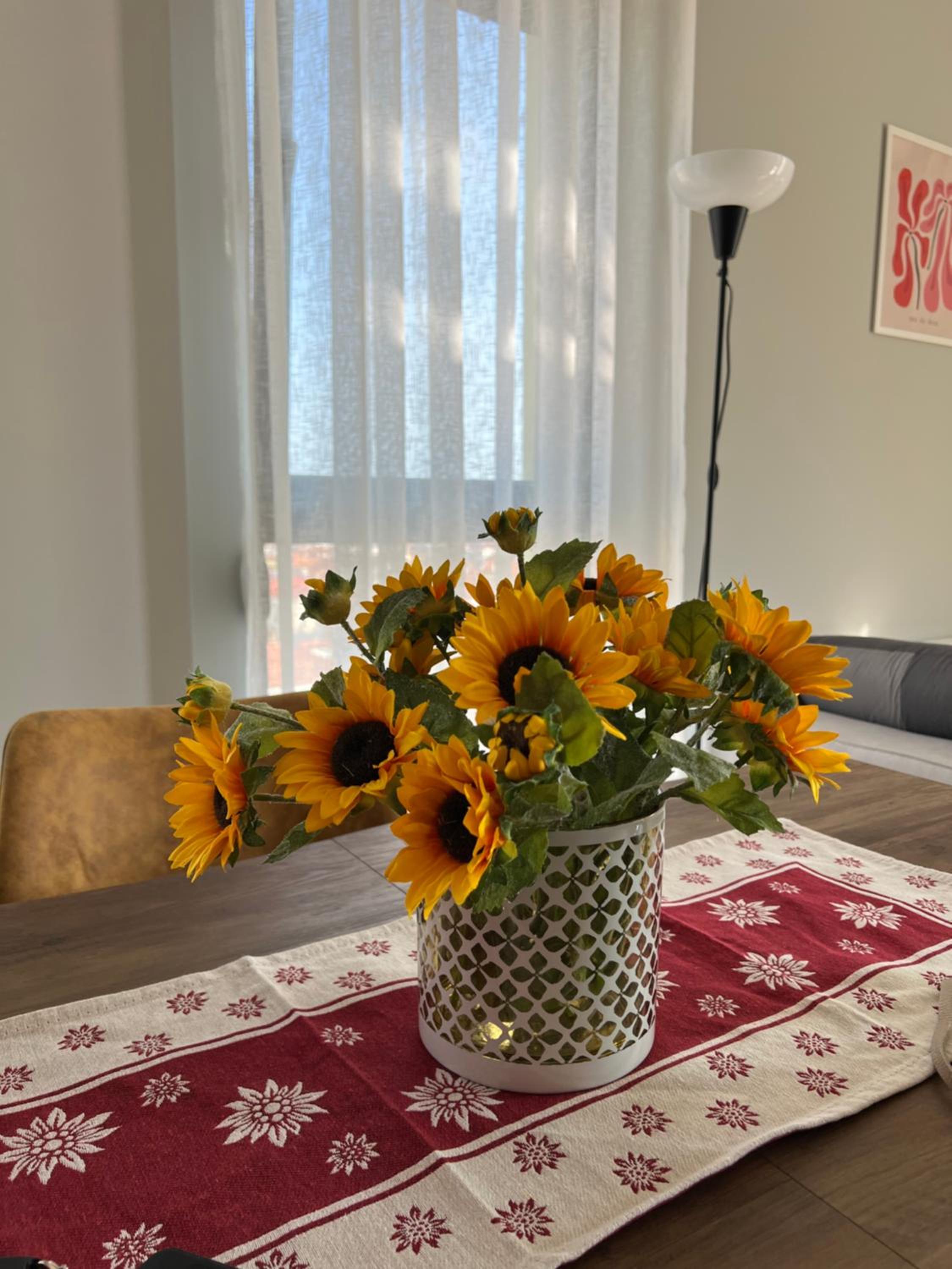 Alma Rose Apartments 4