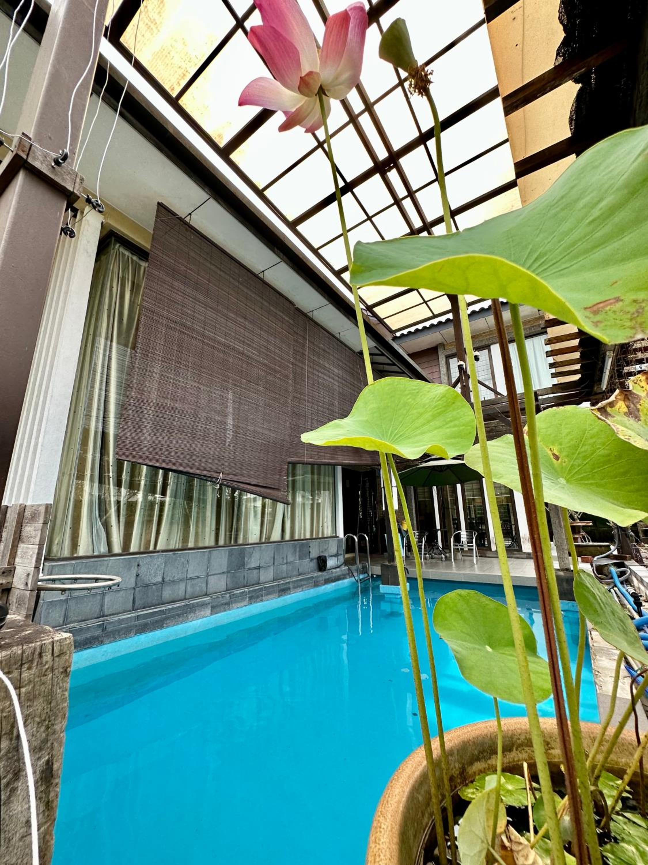 LF Tropical Pool Villa 1 l BBQ l Netflix l KTV l Private Pool l Mt Austin l 6&1R up to 20pax