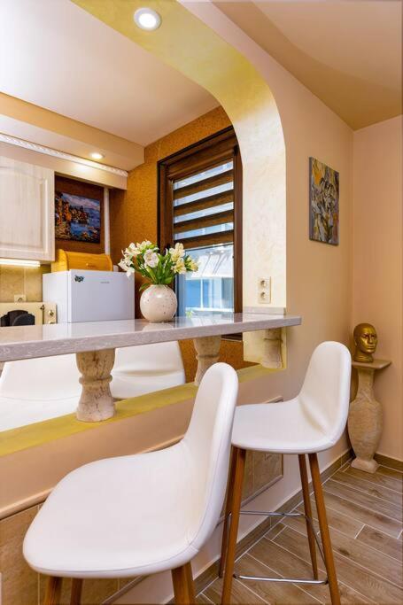 Central Park Apartment Dragan Tsankov