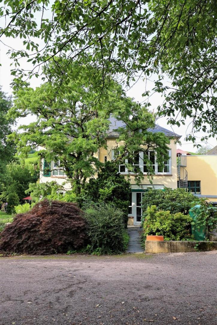 Saarwein Gut in Wiltingen