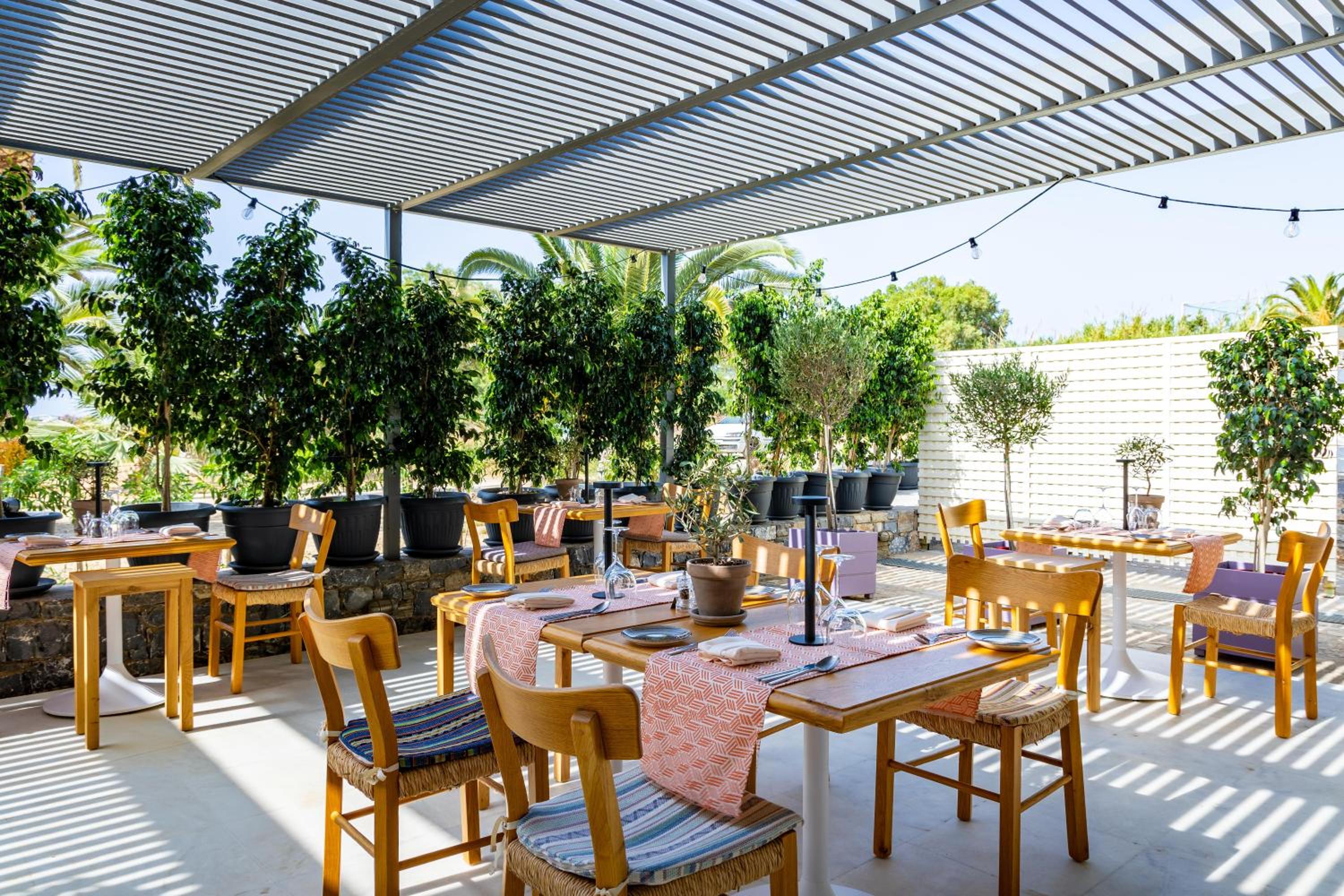 Photo 49