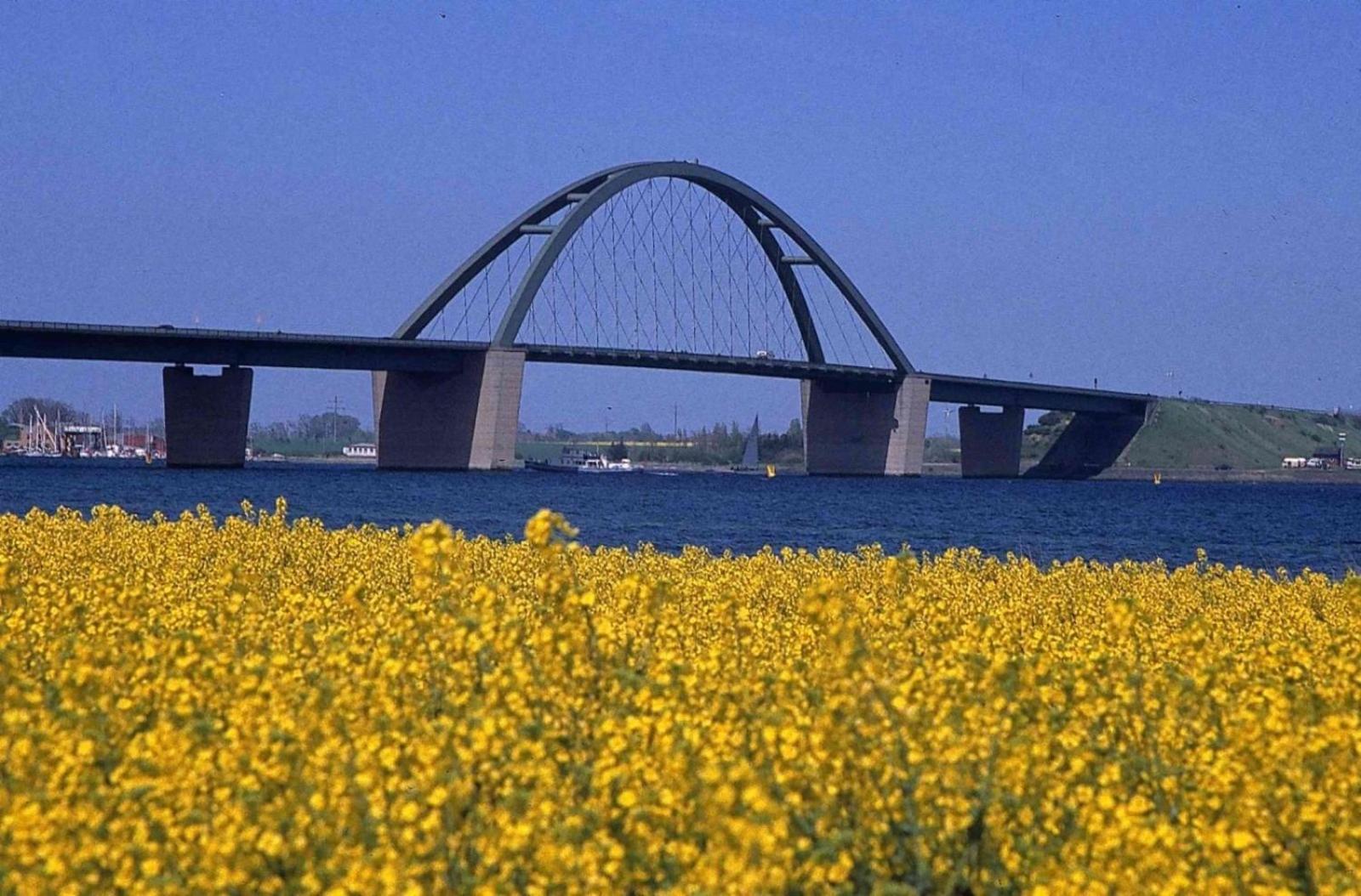 Möwennest 7 - Großenbrode