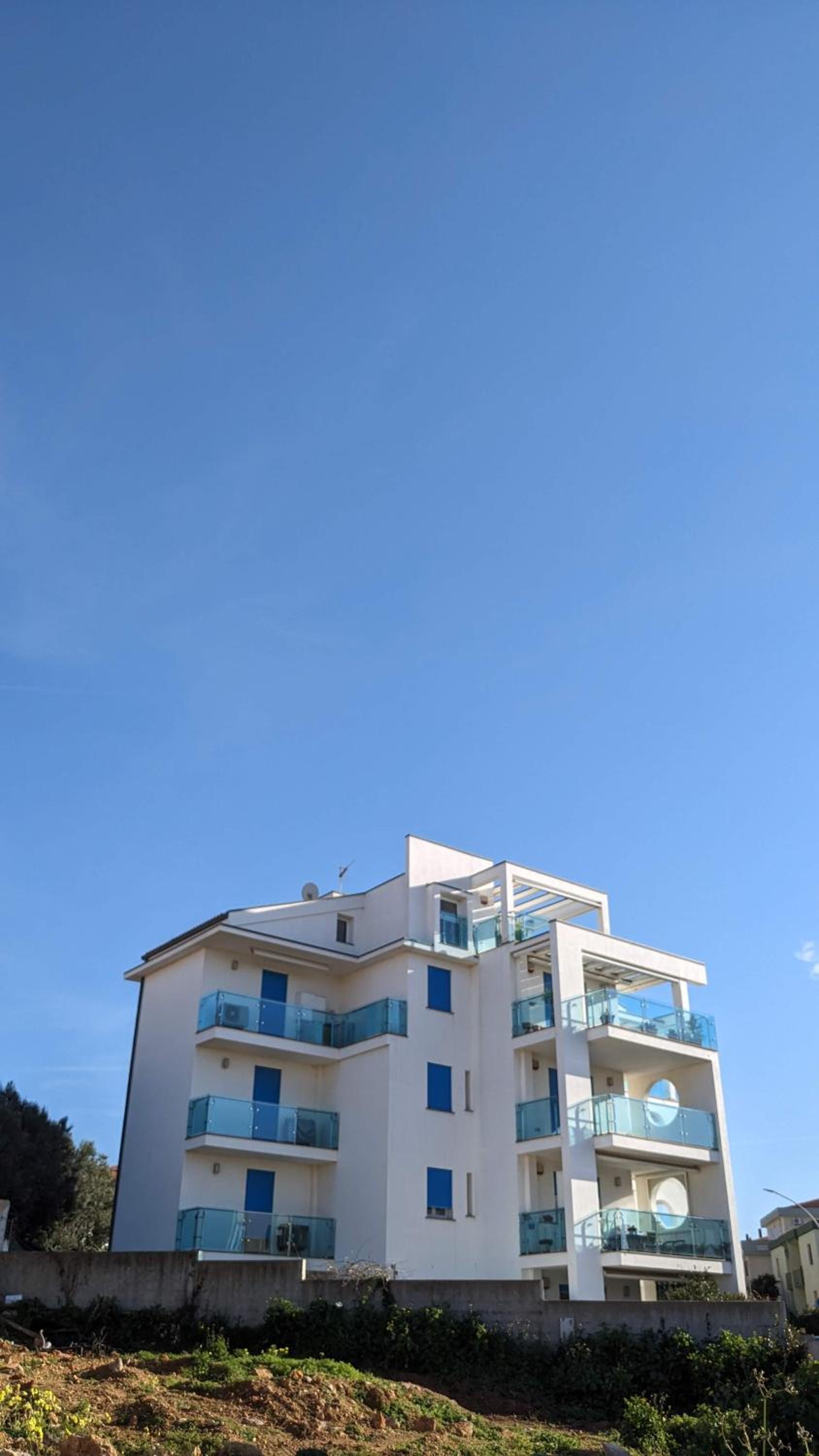 Le pavoncelle azzurre