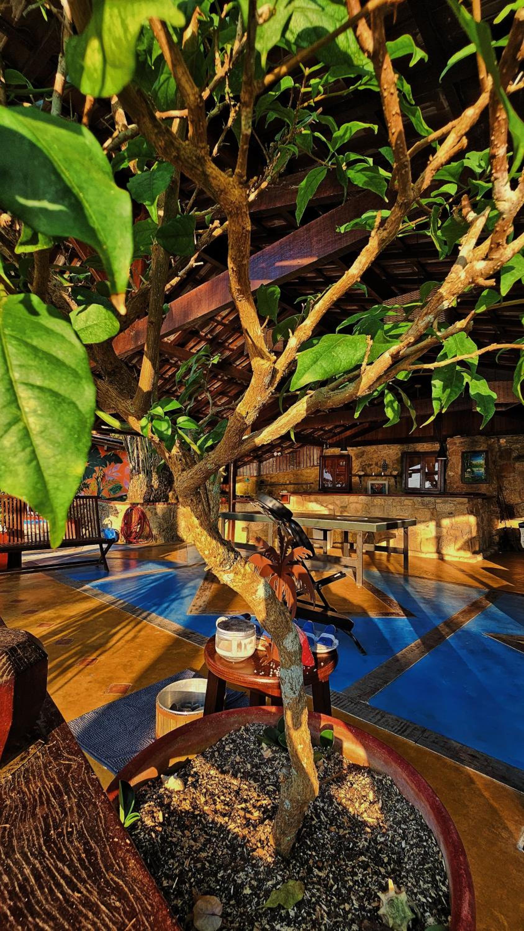Casa da Ilha & SPA