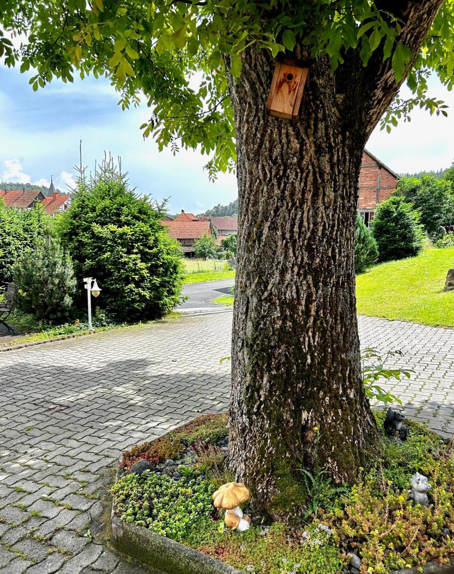 FEWO Unterm Stein - Schneewittchen - 2 Schlafzimmer