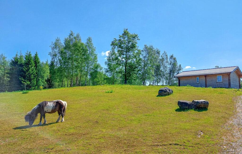 STUGA COTTAGE ÄNGELHOLM lantlig, on horsefarm view 4