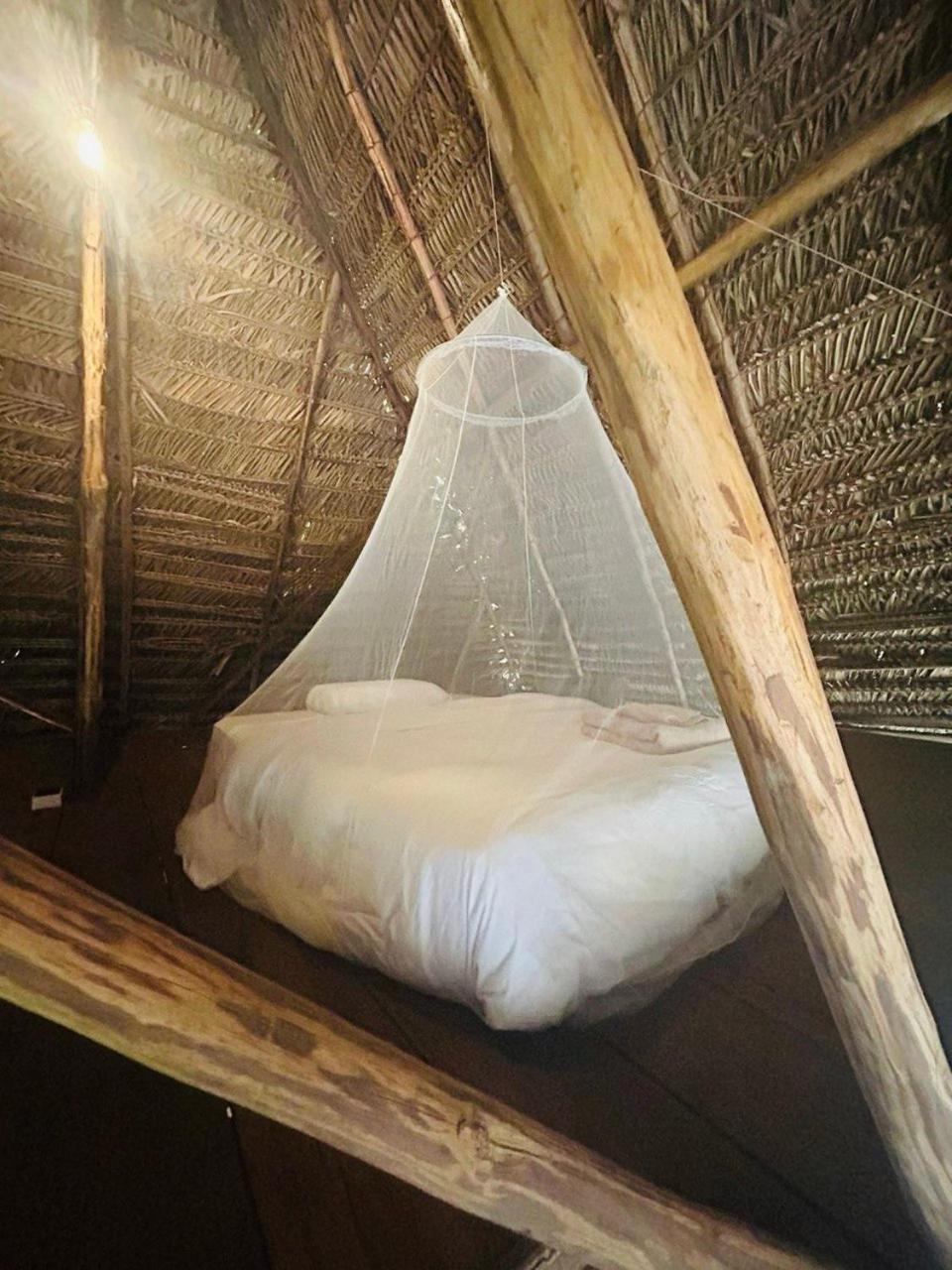 Camu camu jungle villa on Aguajale lake
