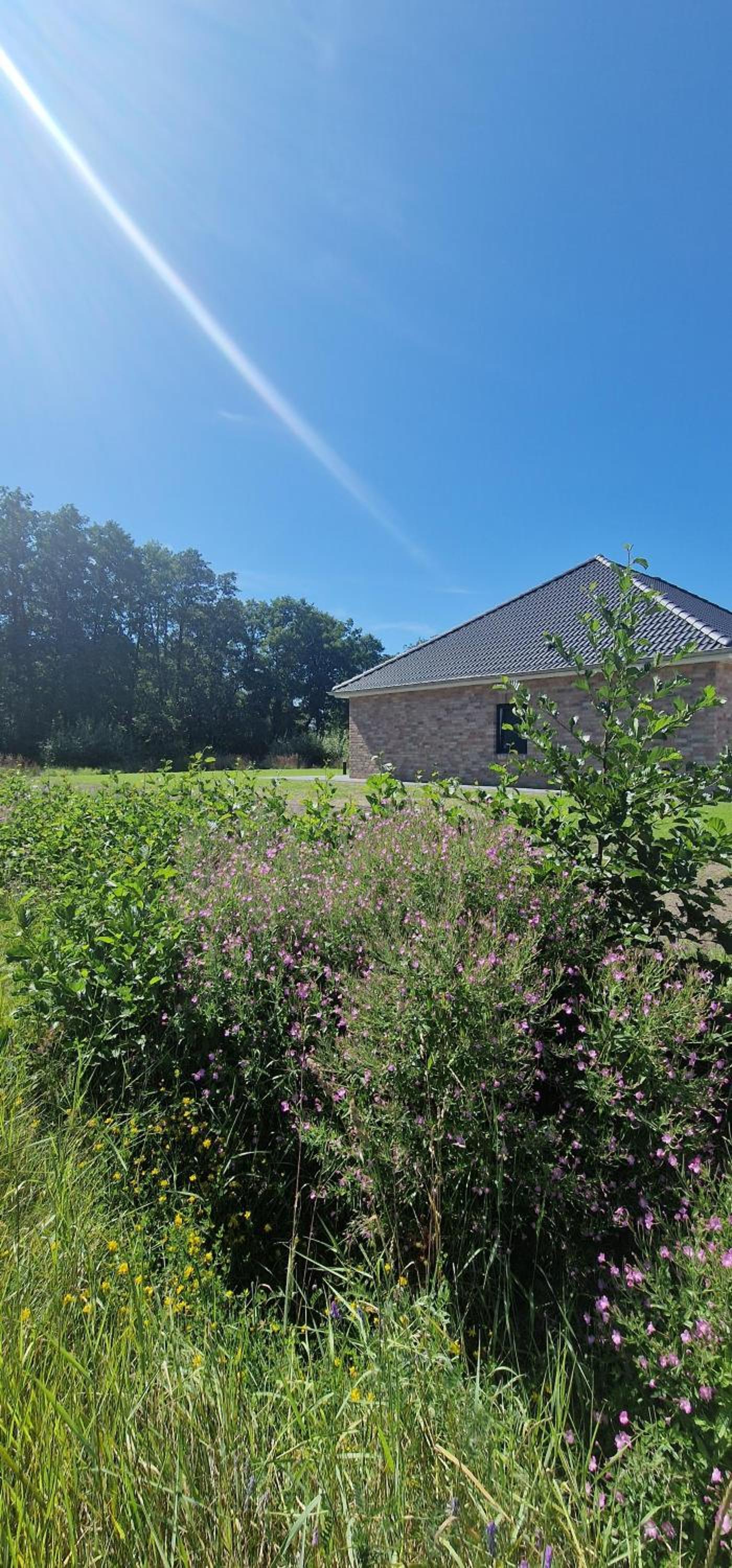 Ferienhaus Wiesenblume