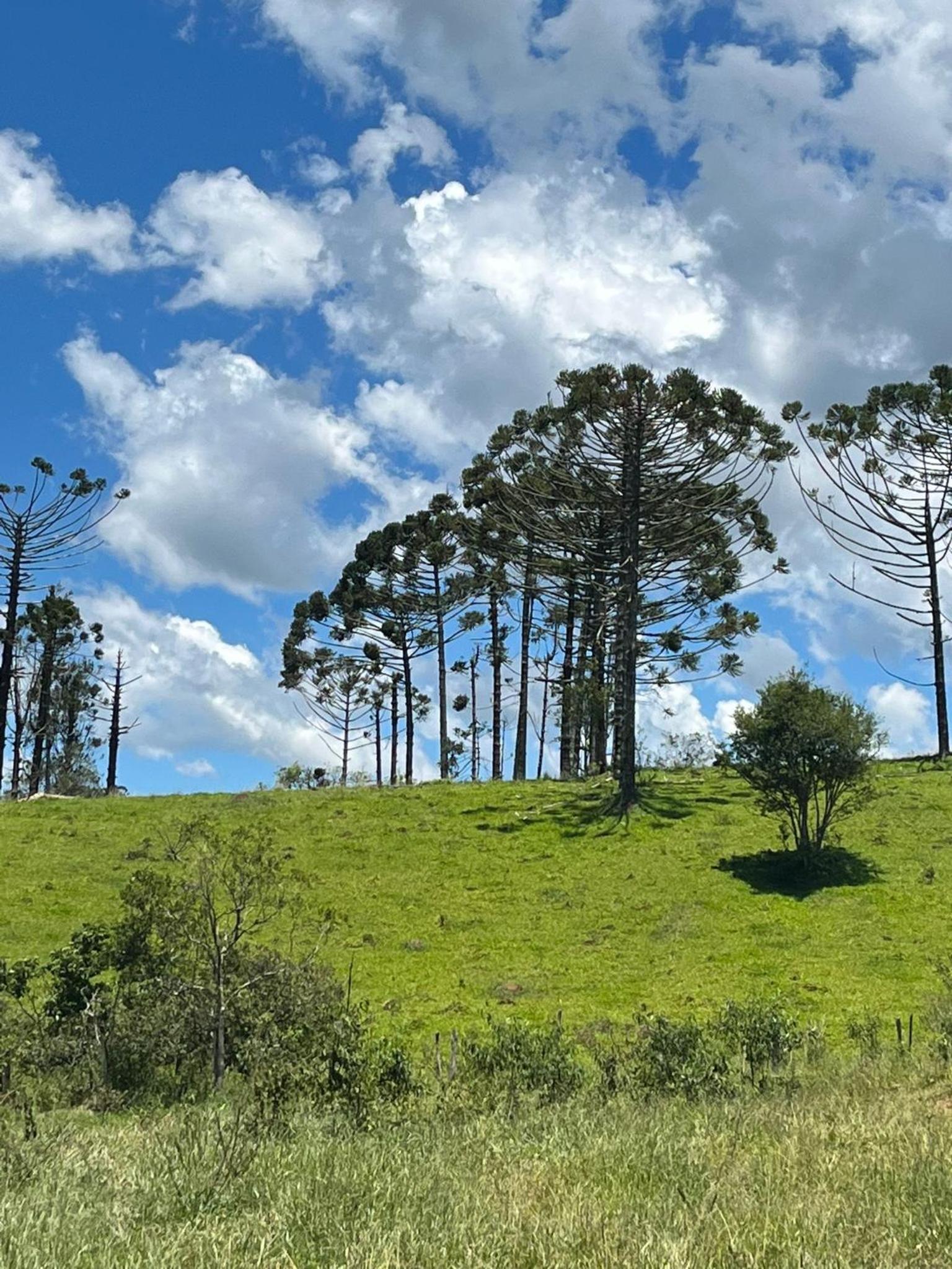 Chale com hidro na Serra da Mantiqueira