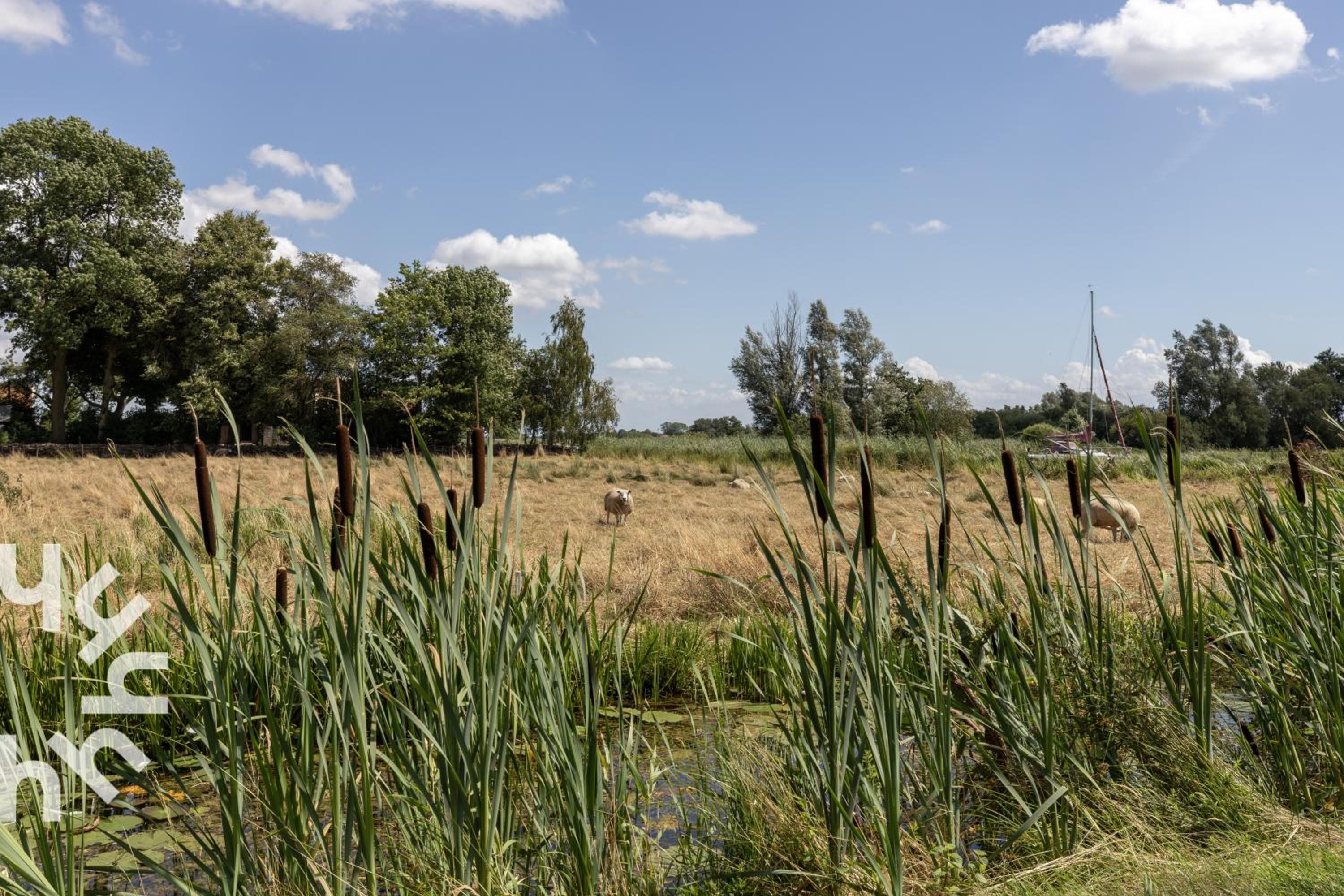 OV573 - Luxurious, modern holiday villa for 11 people on the water near Giethoorn view 4