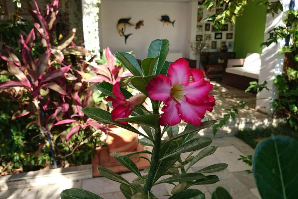 CASA PORTUGUESA - seu cantinho colonial em Piri