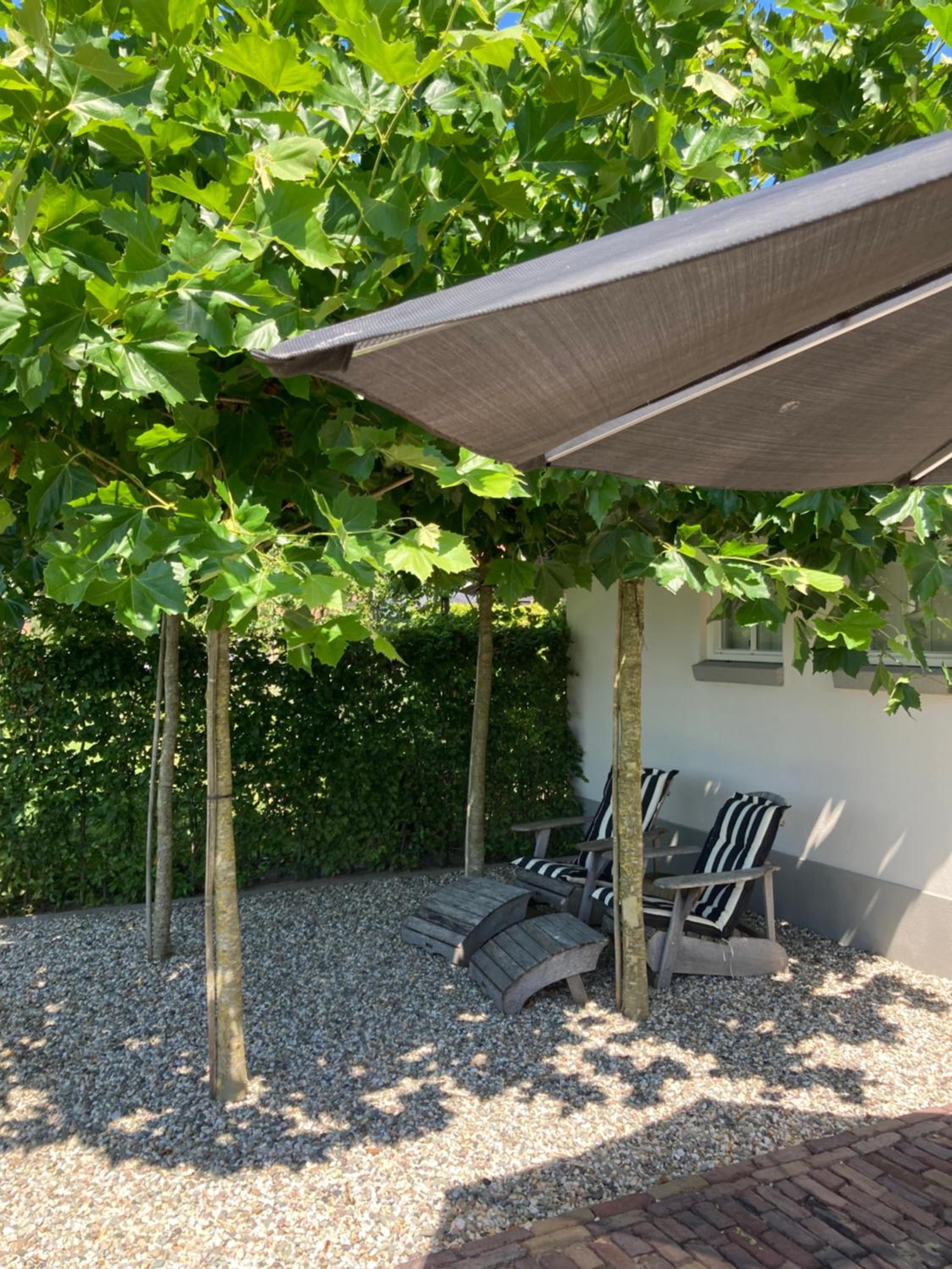 House of Flowers, Gendringen, Achterhoek, Gelderland
